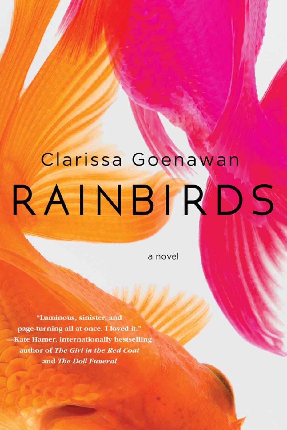 Rainbirds: A Novel Contemporary literature