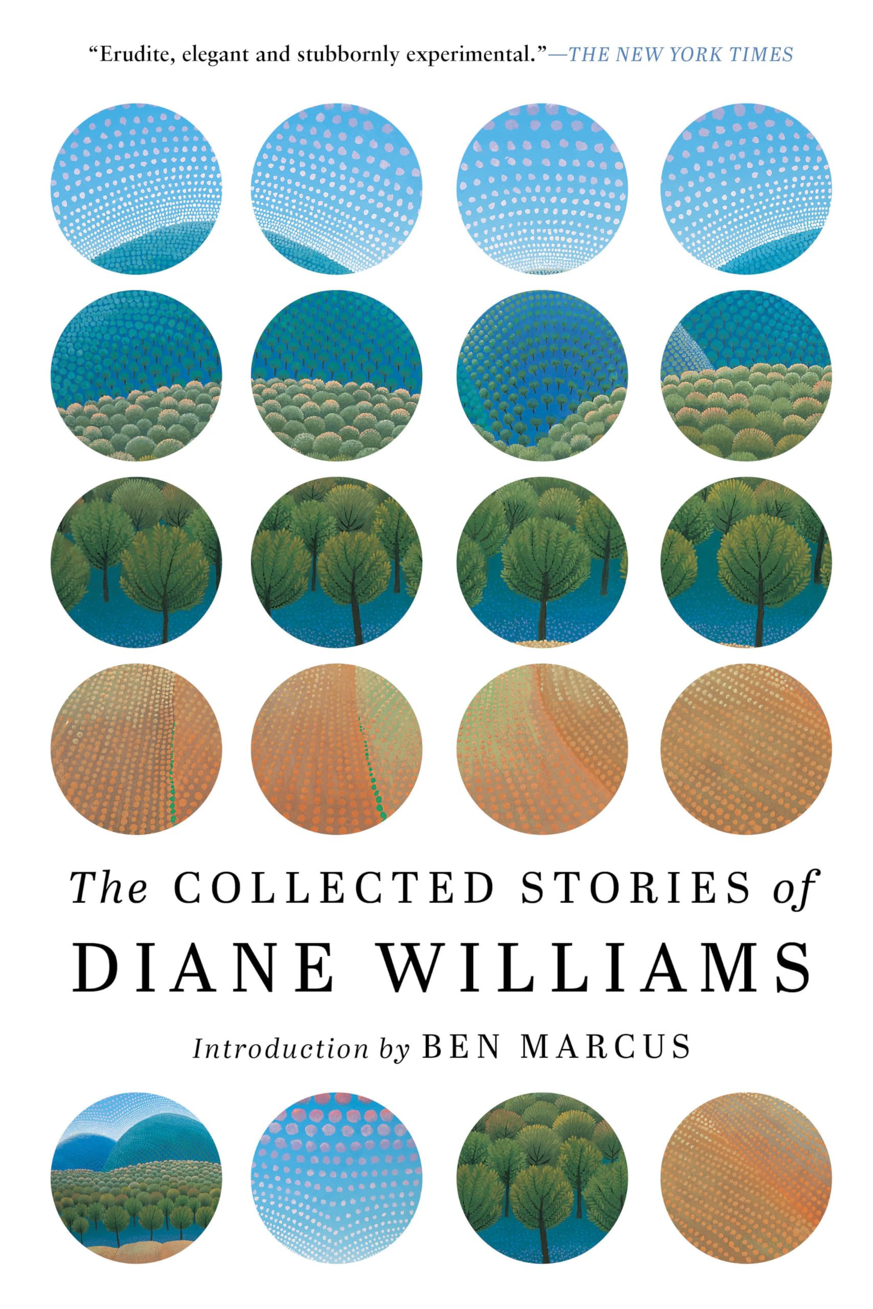 The Collected Stories of Diane Williams Essays & Short Stories