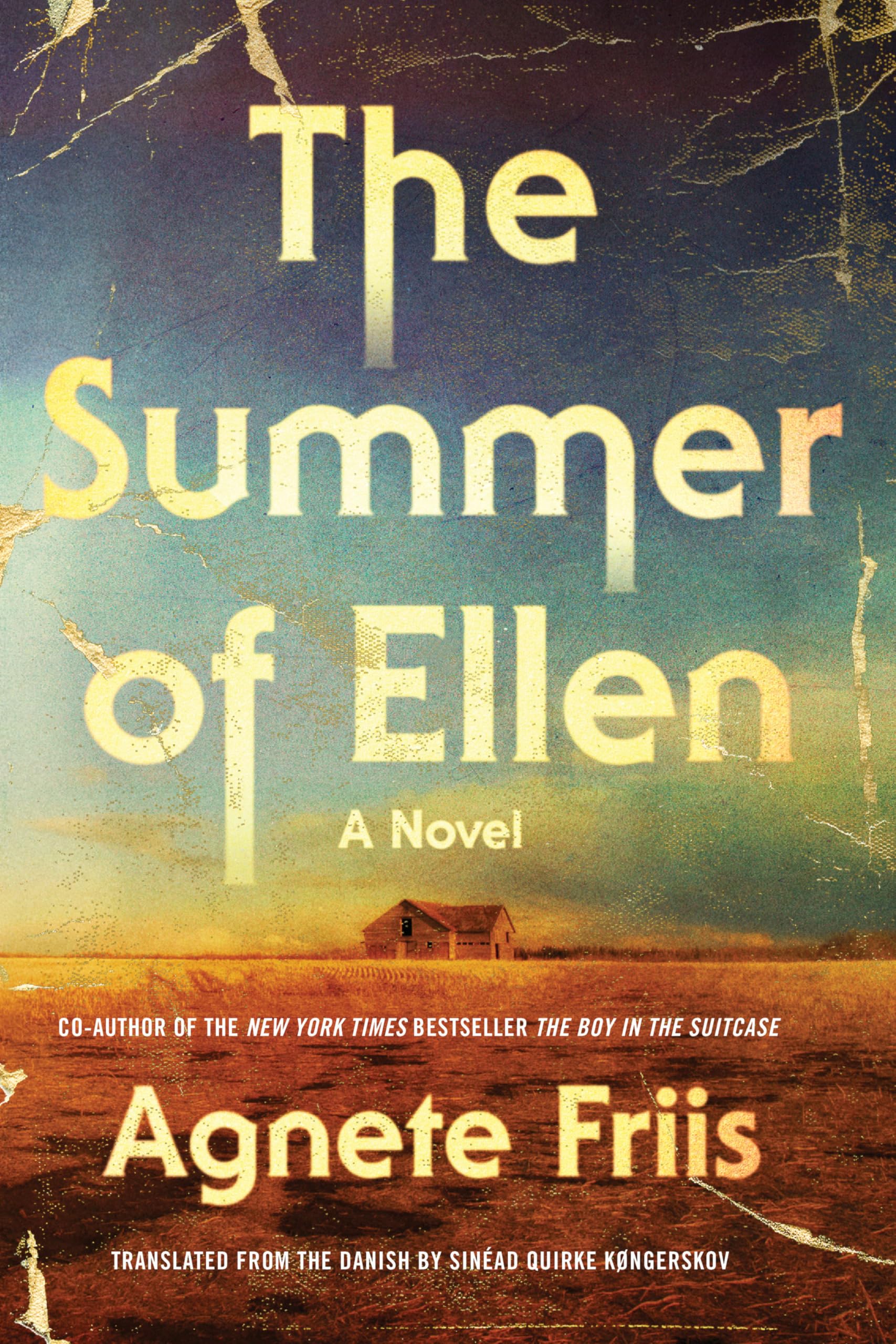 The Summer of Ellen book