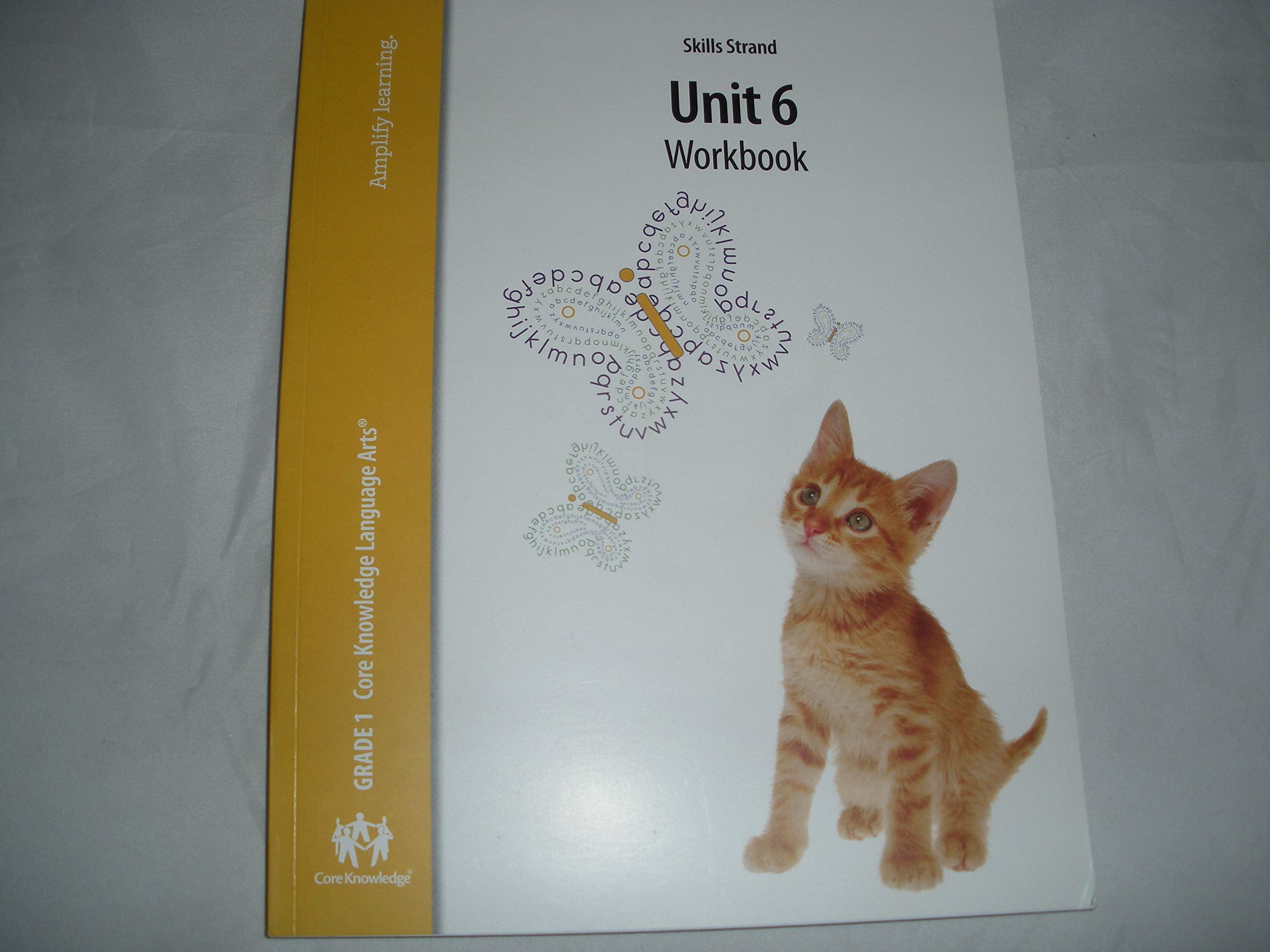 Skills Strand Unit 1 Language Arts Workbook grade 1 Books