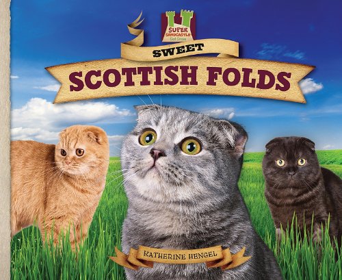 Sweet Scottish Folds (Cat Craze) Non-fiction