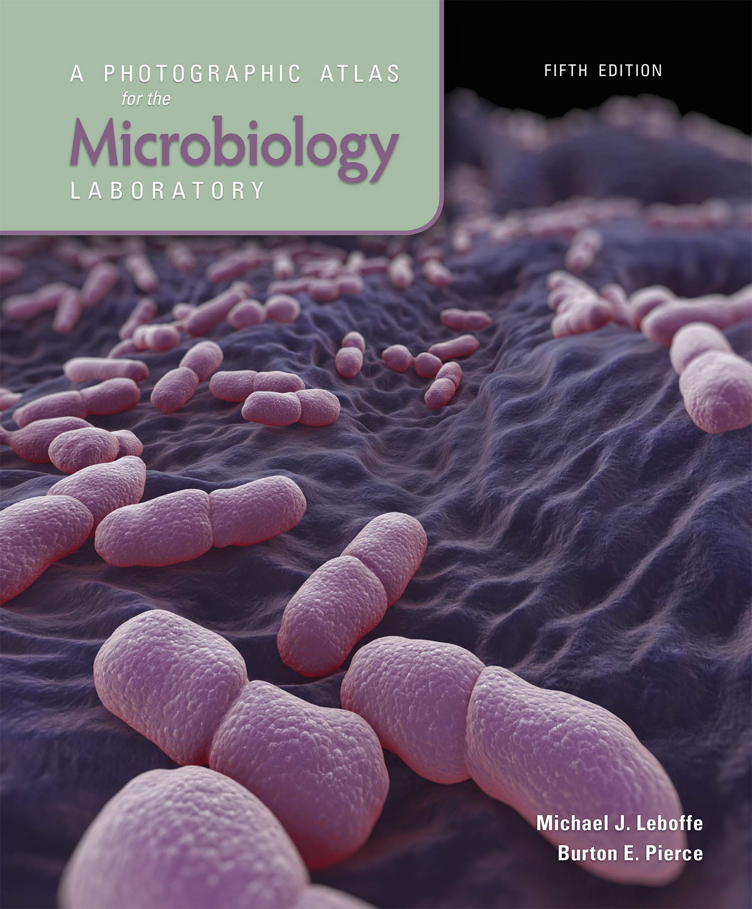 A Photographic Atlas for the Microbiology Laboratory Natural Sciences
