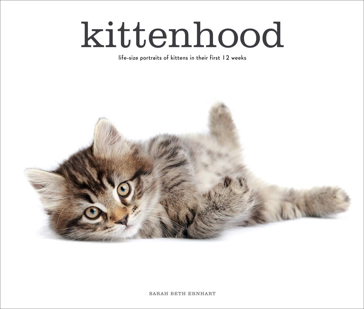 Kittenhood: Life-Size Portraits of Kittens in Their First 12 Weeks Travel