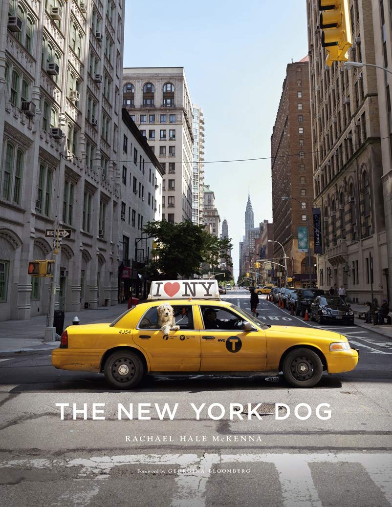 The New York Dog Travel
