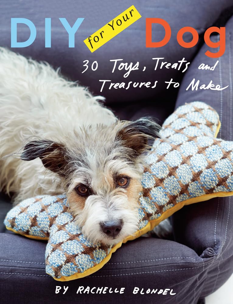 DIY for Your Dog: 30 Toys, Treats, and Treasures to Make Pets