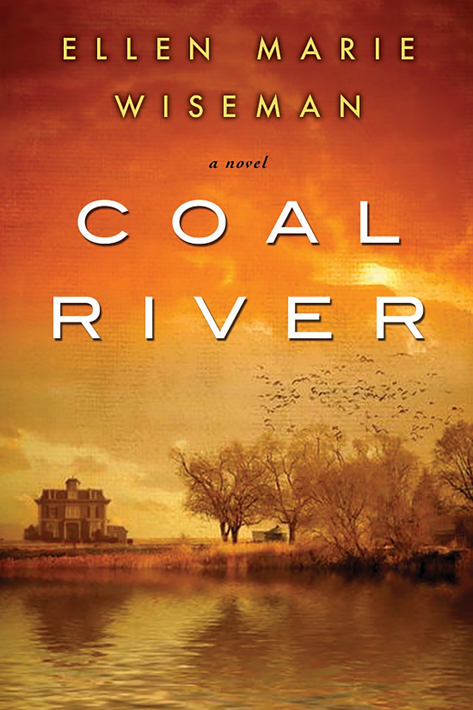 Coal River: A Powerful and Unforgettable Story of 20th Century Injustice Contemporary literature