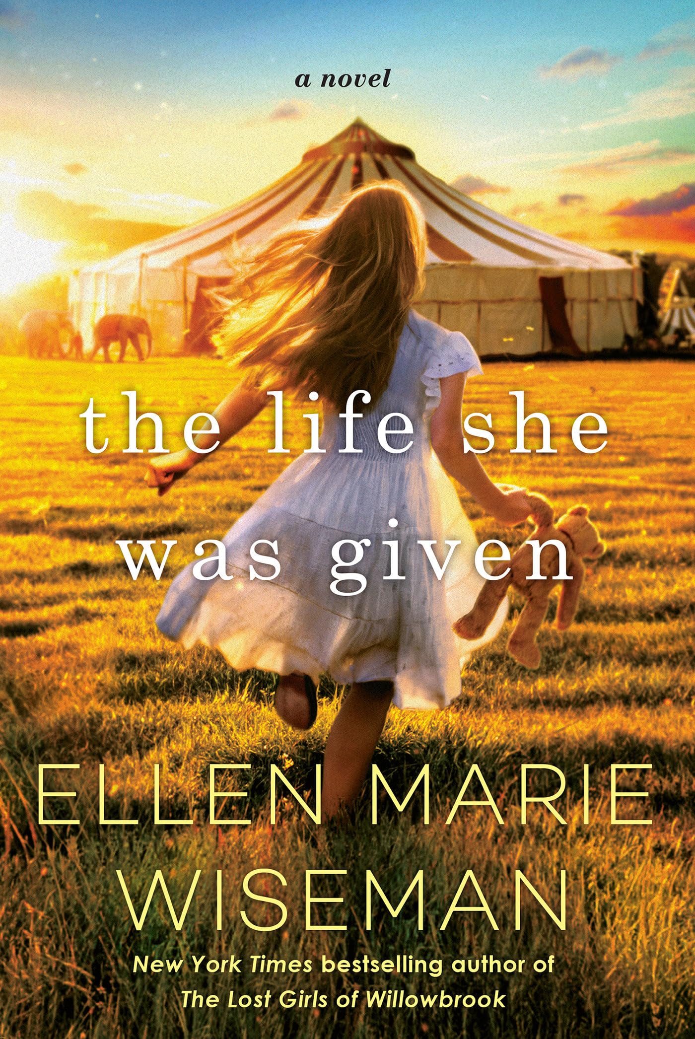 The Life She Was Given Contemporary literature
