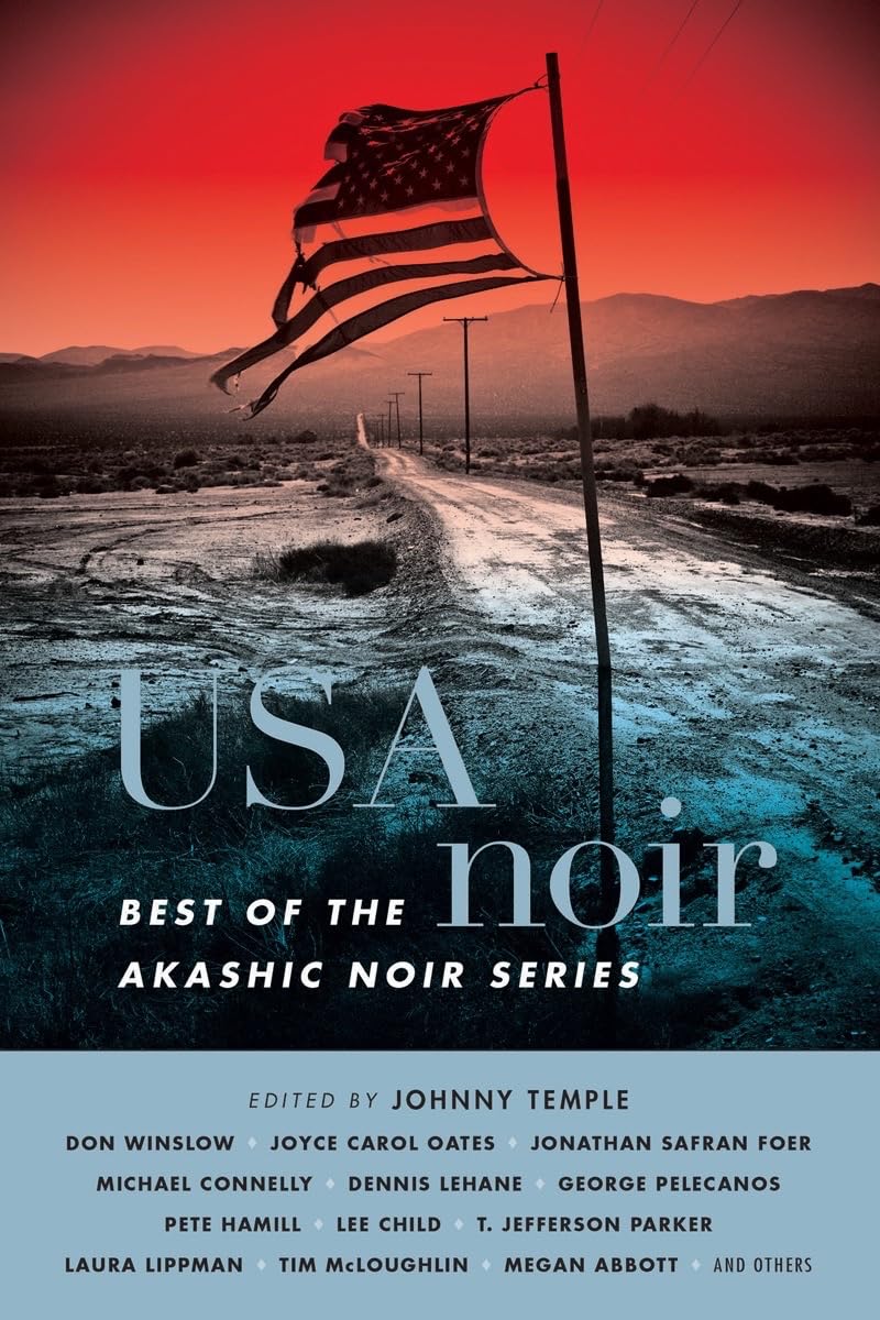 USA Noir Contemporary literature Books