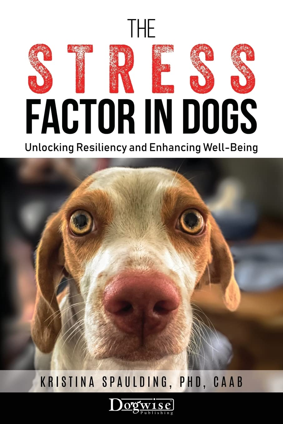 The Stress Factor in Dogs: Unlocking Resiliency and Enhancing Well-Being Pets