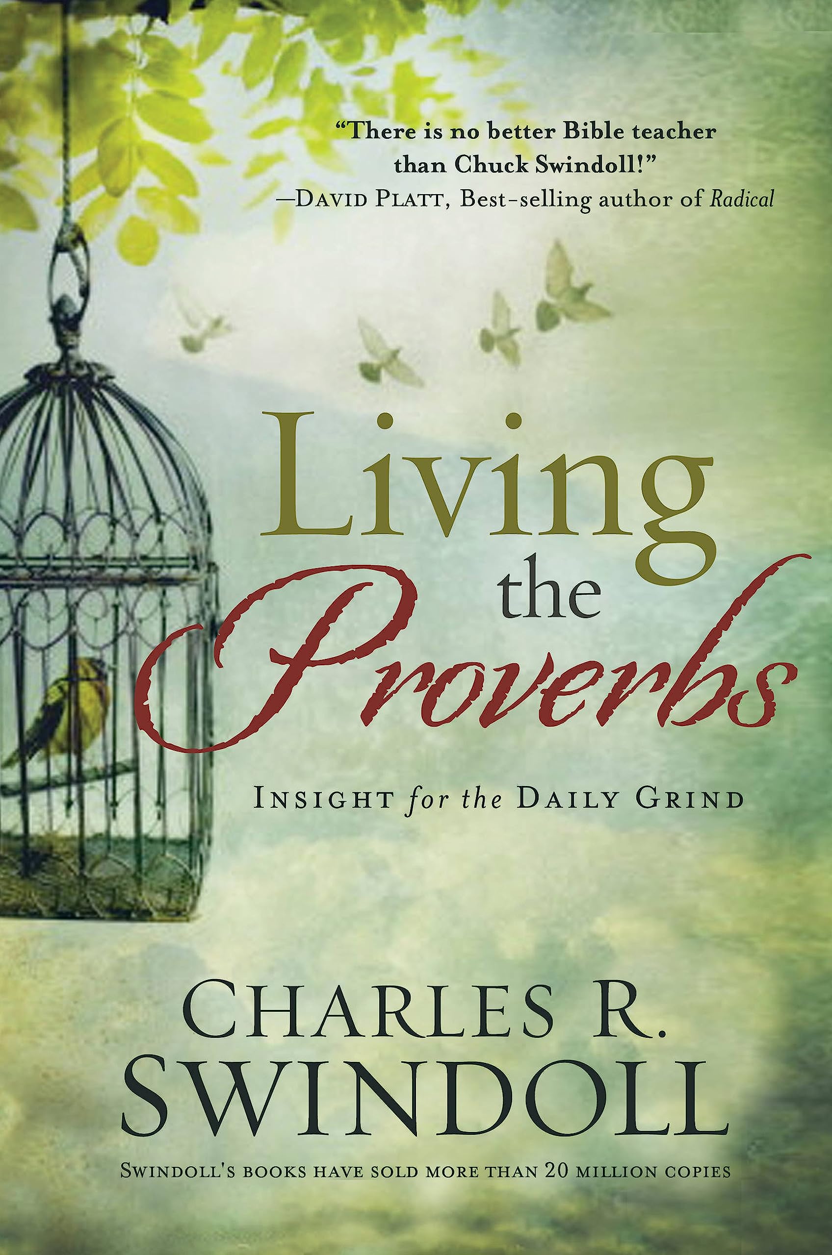 Living the Proverbs: Insights for the Daily Grind Religion & Esotericism