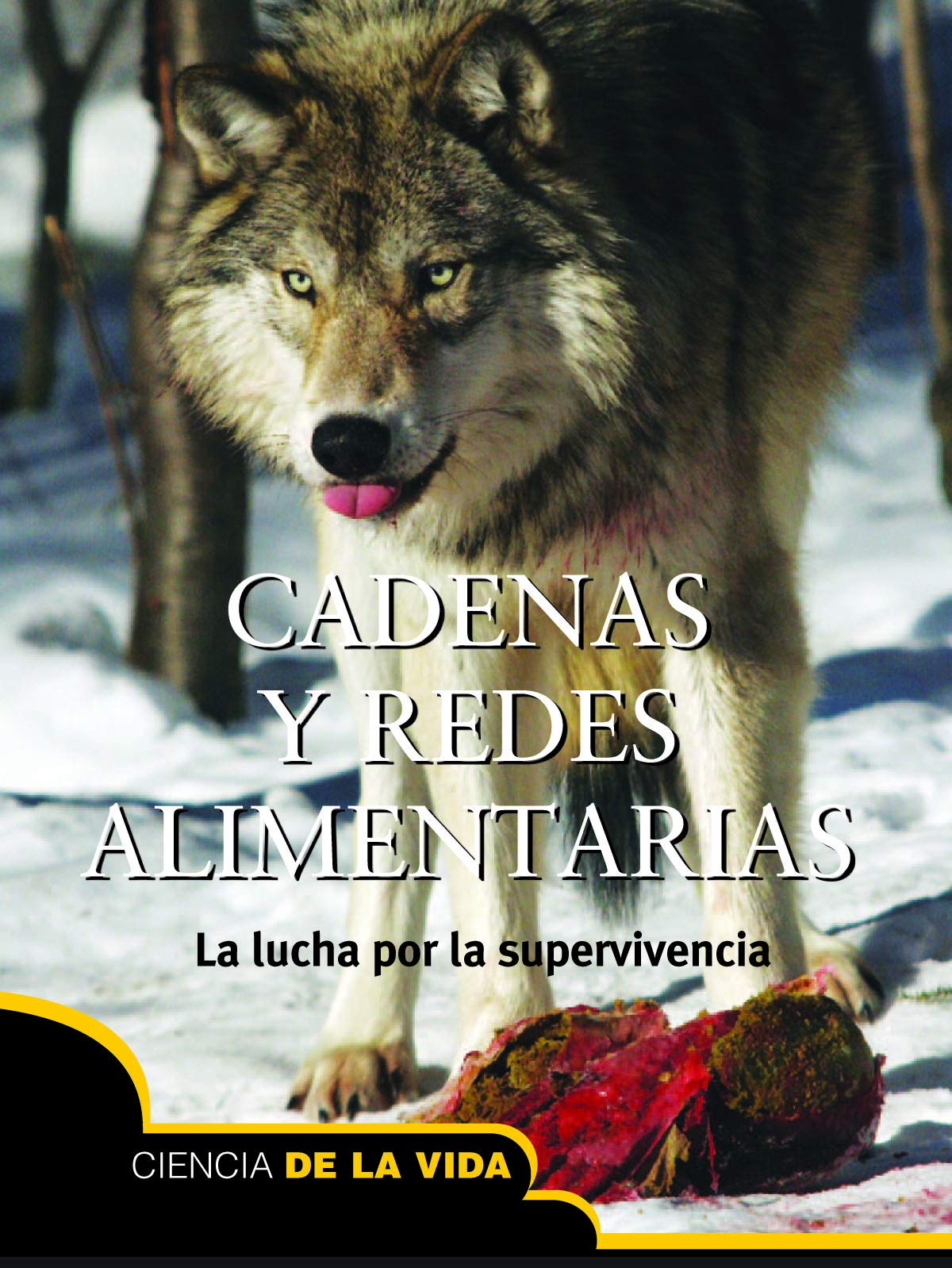 Cadenas y redes alimentarias / Food Chains and Webs: La Lucha Por La Supervivencia (Exploremos la ciencia / Let's Explore Science) Natural Sciences