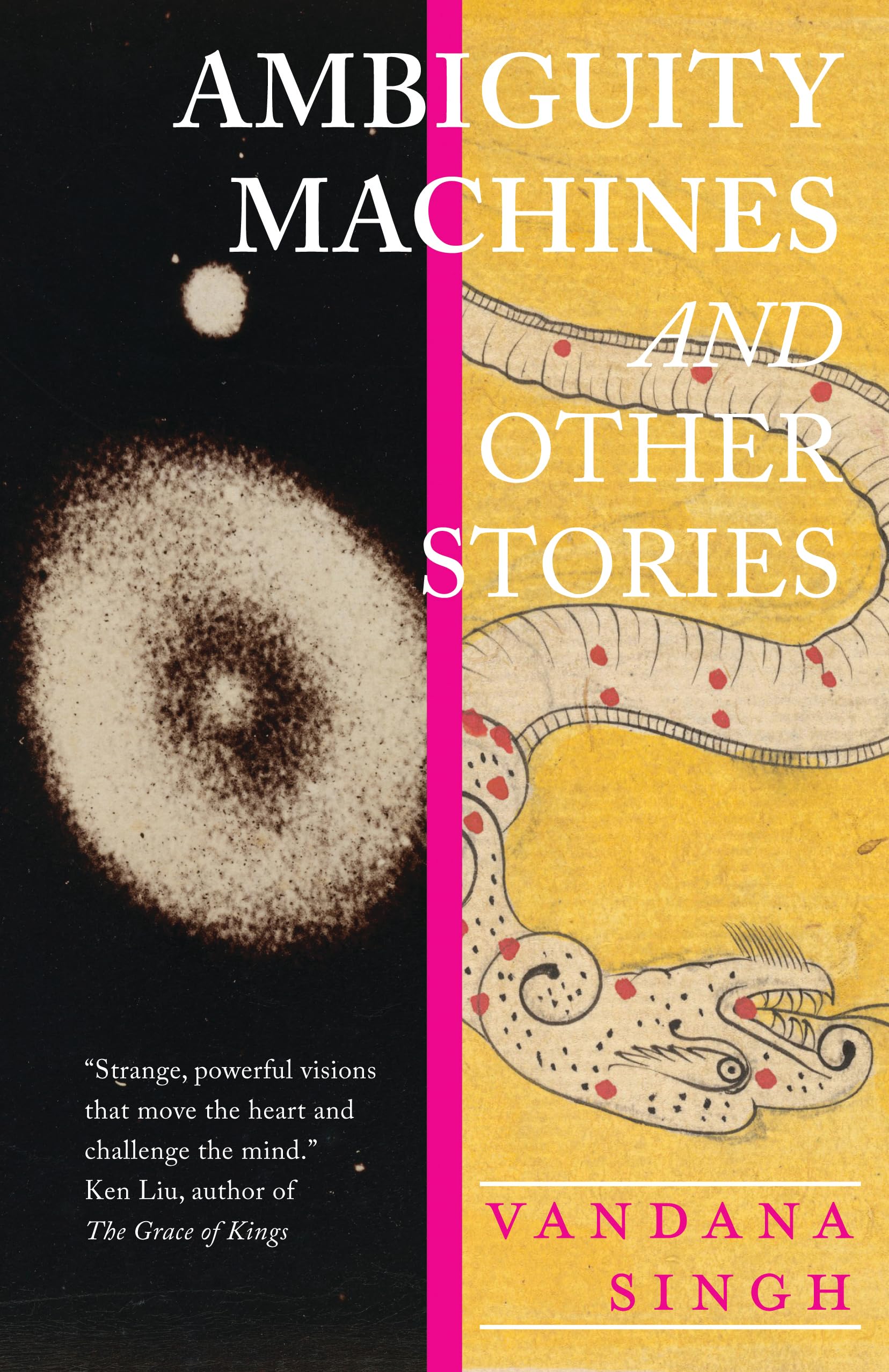 Ambiguity Machines: and Other stories Essays & Short Stories
