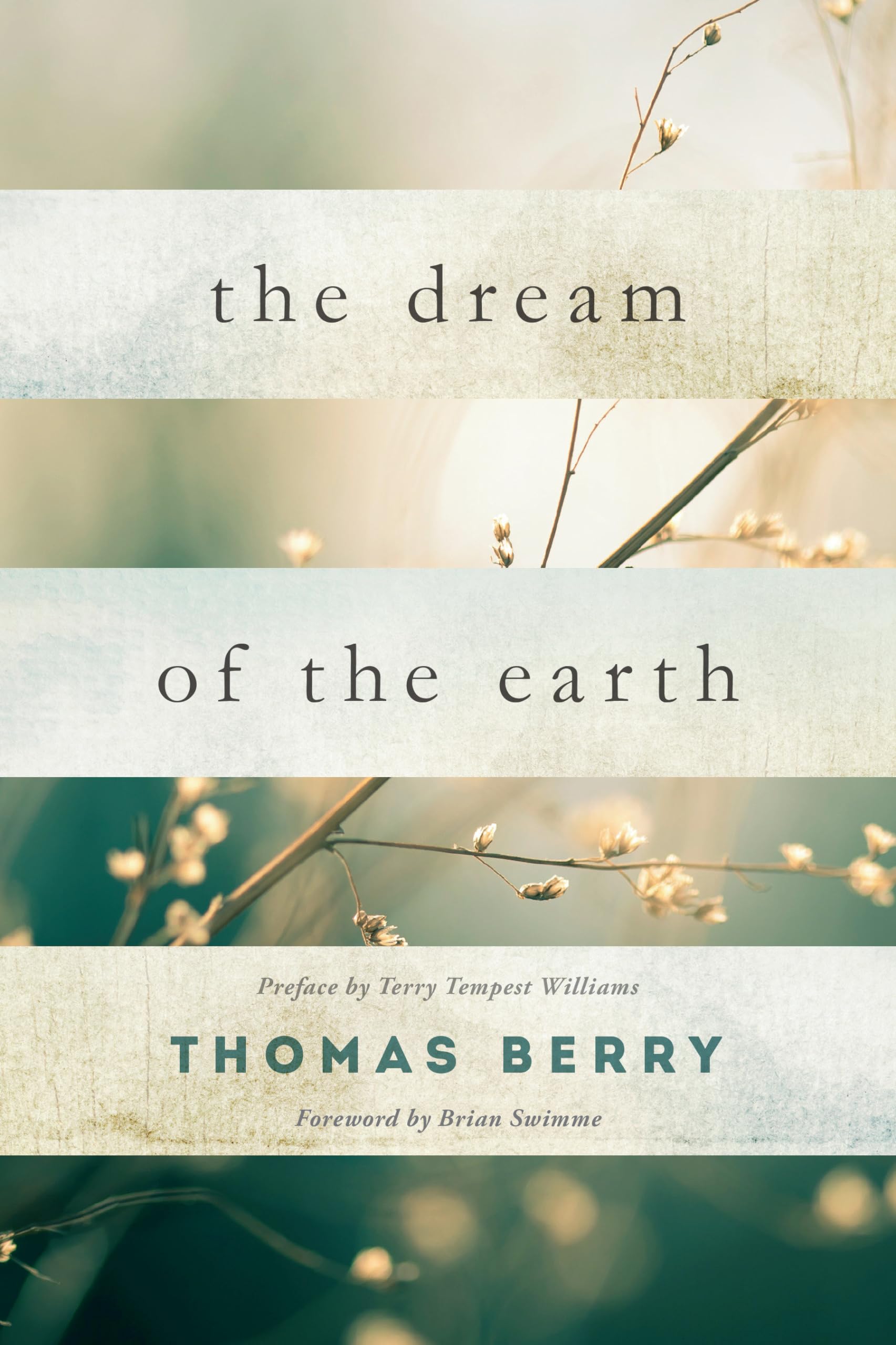 The Dream of the Earth Contemporary literature