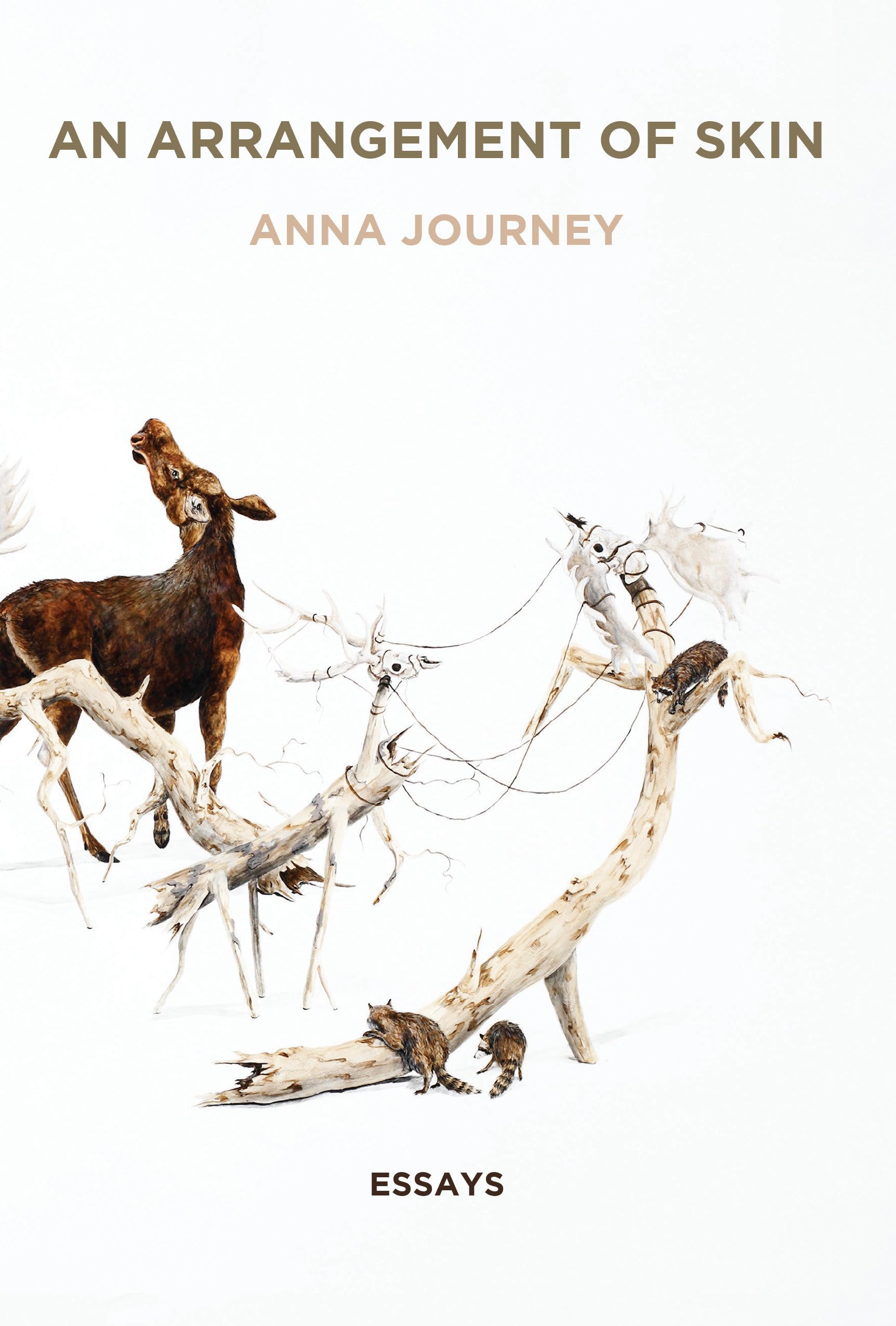 An Arrangement of Skin book