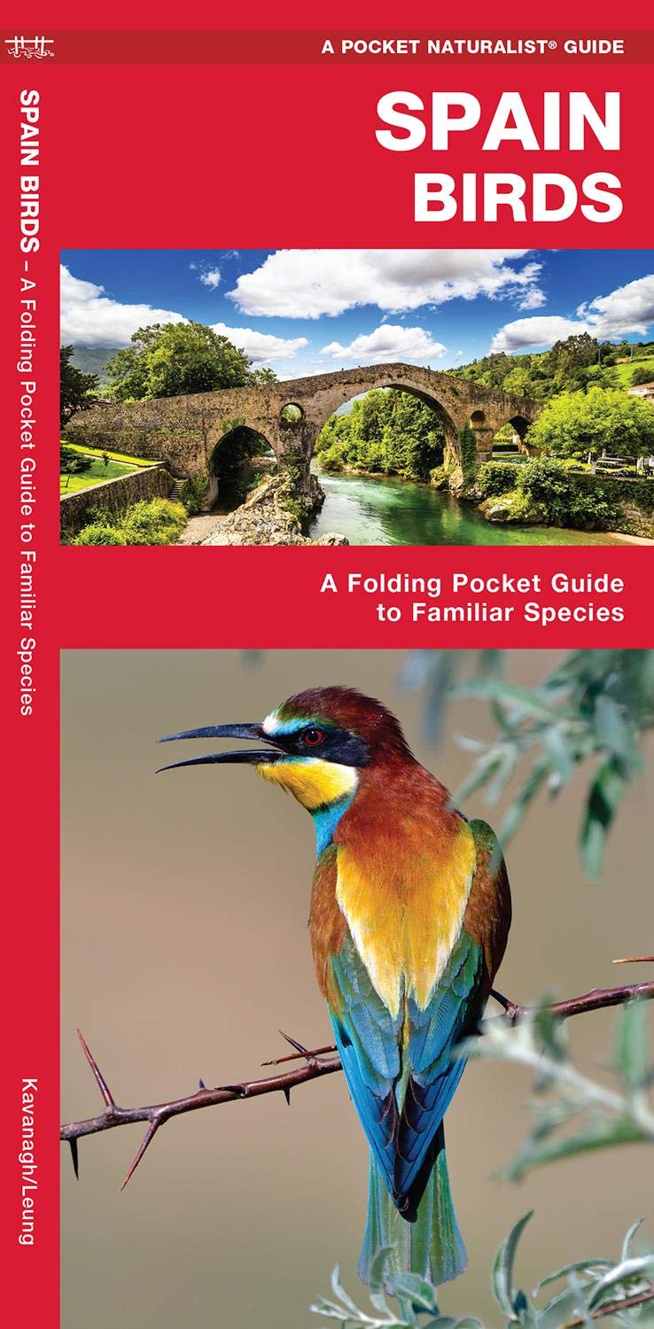 Spain Birds: A Folding Pocket Guide to Familiar Species (Nature Observation International) Geology & Geography