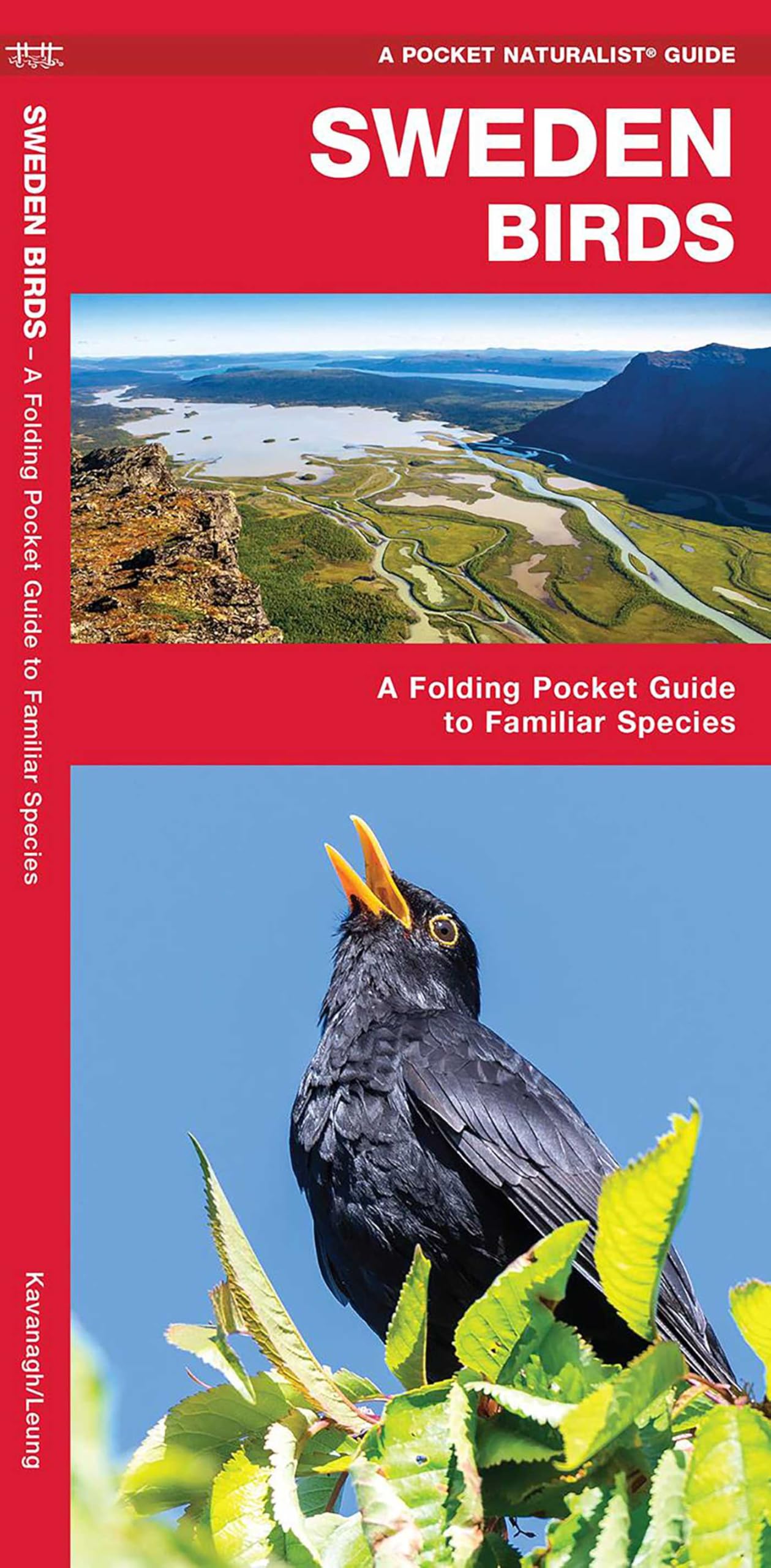 Sweden Birds: A Folding Pocket Guide to Familiar Species (Nature Observation International) Geology & Geography