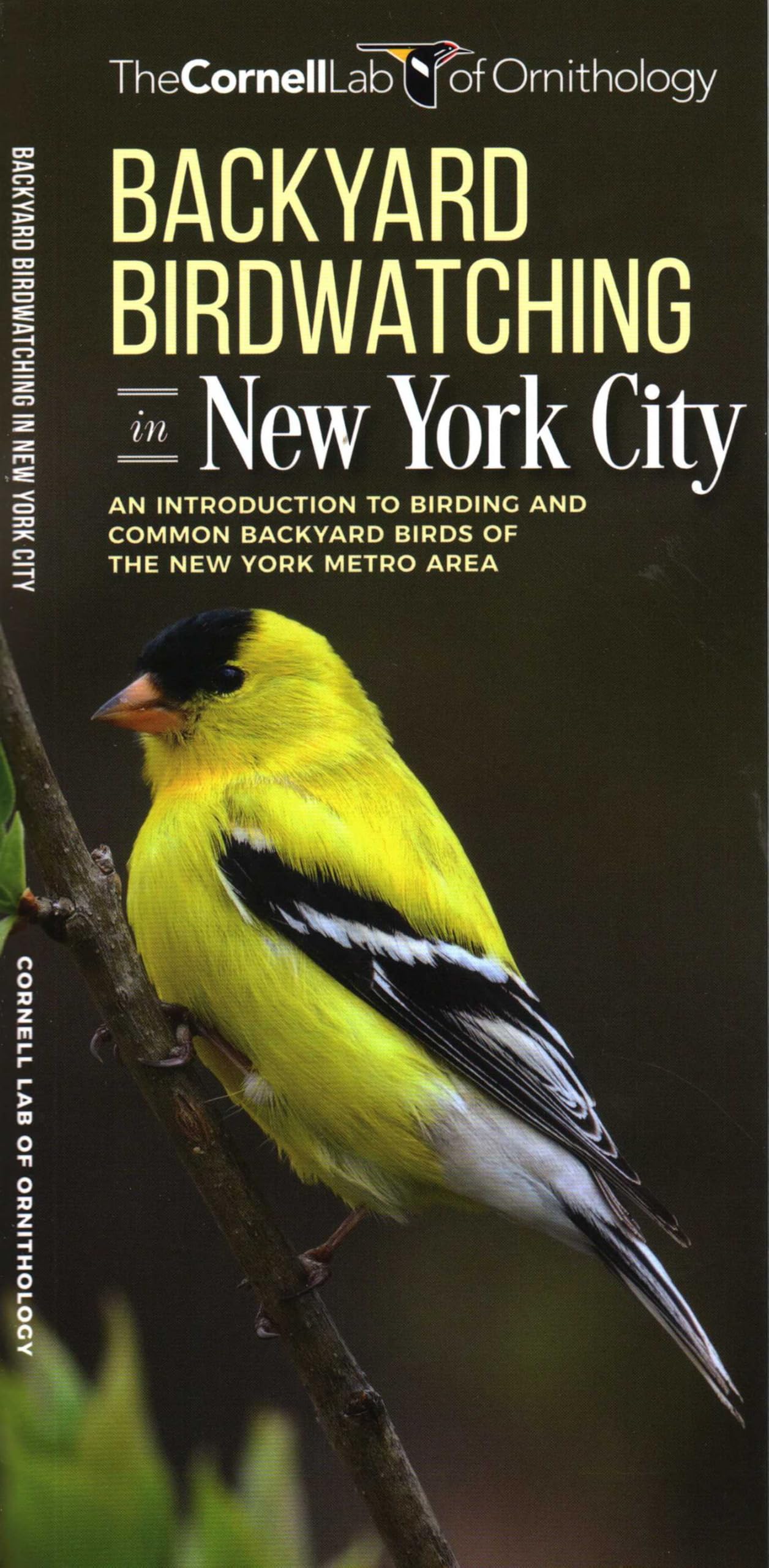 Backyard Birdwatching in New York City: An Introduction to Birding and Common Backyard Birds of the New York Metro Area (All about Birds Pocket Guide) Mathematics