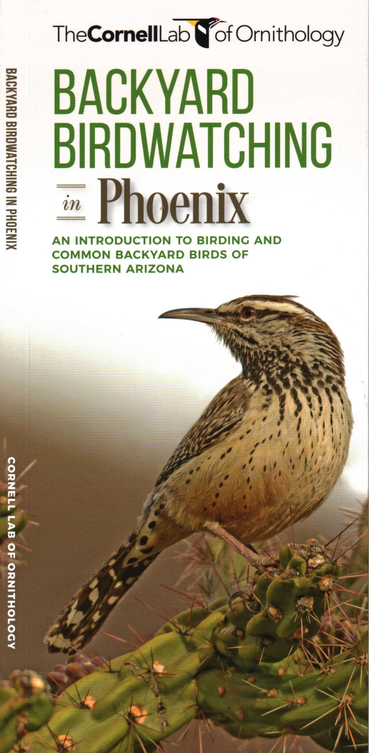 Backyard Birdwatching in Phoenix: An Introduction to Birding and Common Backyard Birds of Southern Arizona (All about Birds Pocket Guide) Mathematics