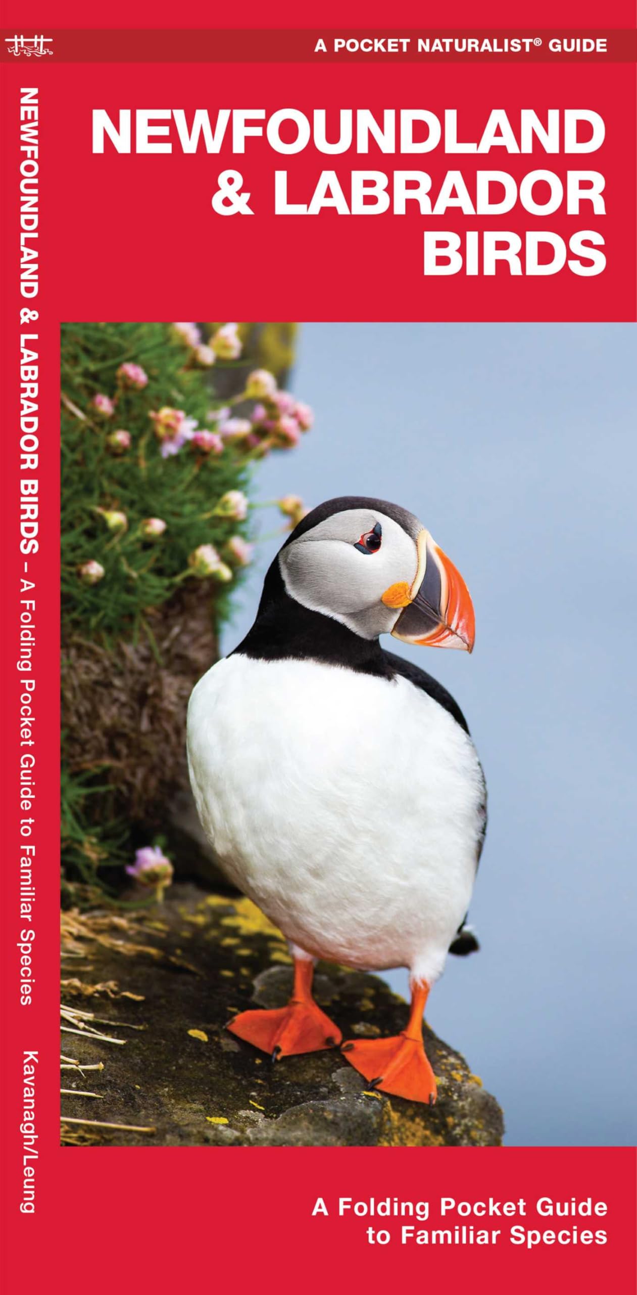 Newfoundland & Labrador Birds: A Folding Pocket Guide to Familiar Species (Wildlife and Nature Identification) Mathematics