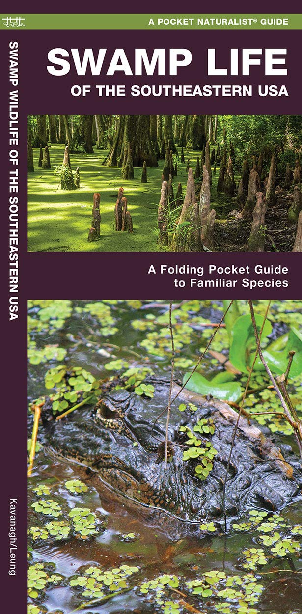 Swamp Life of the Southeastern USA: A Folding Pocket Guide to Familiar Species (Wildlife and Nature Identification) Geology & Geography