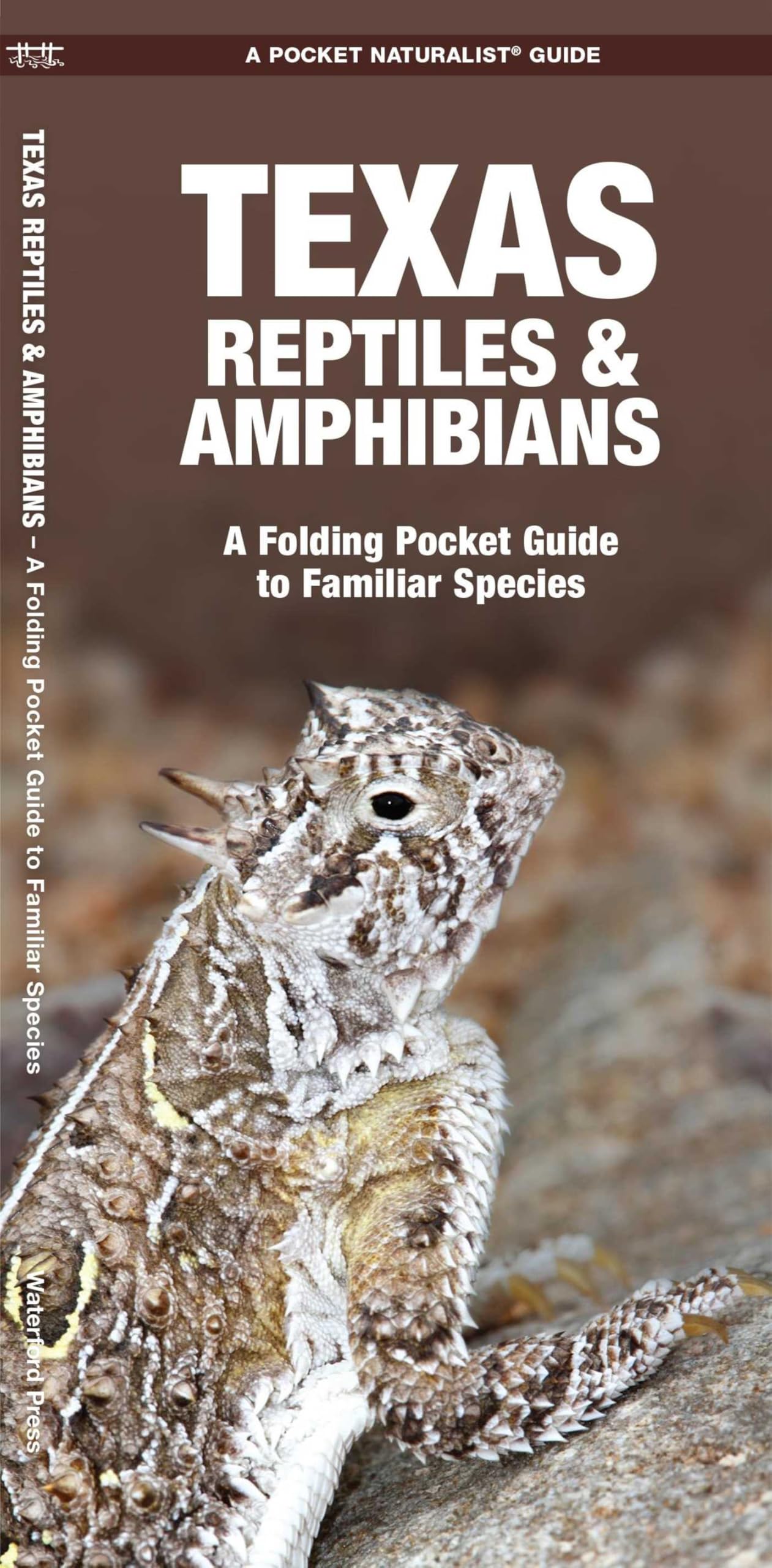 Texas Reptiles & Amphibians: A Folding Pocket Guide to Familiar Species (Wildlife and Nature Identification) Mathematics