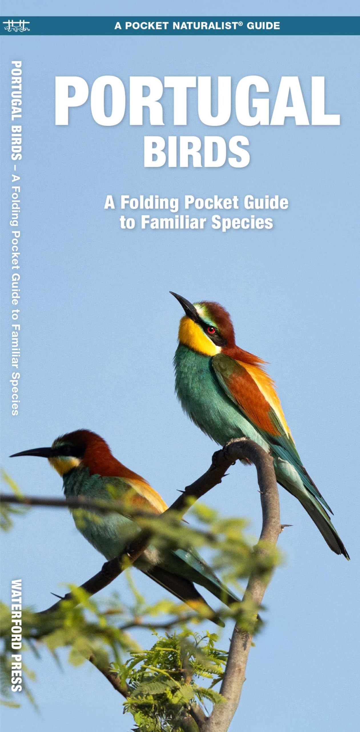 Portugal Birds: A Folding Pocket Guide to Familiar Species (Nature Observation International) Geology & Geography