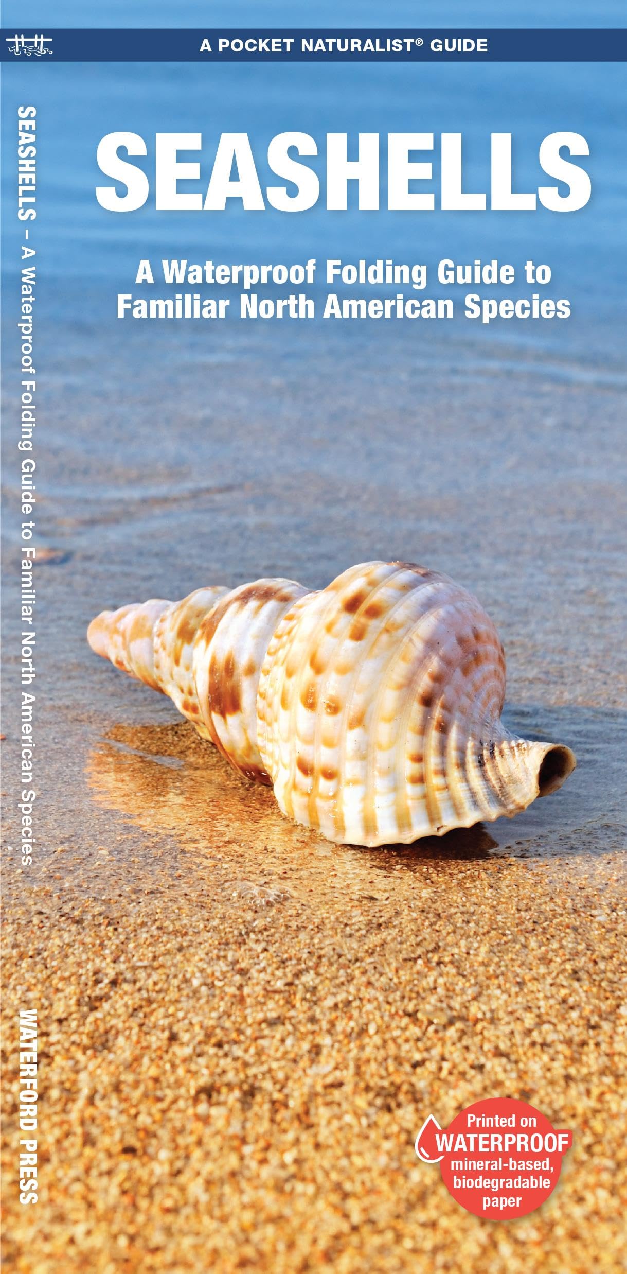 Seashells, 2nd Ed: A Waterproof Folding Guide to Familiar North American Species (Nature Observation North America) Geology & Geography