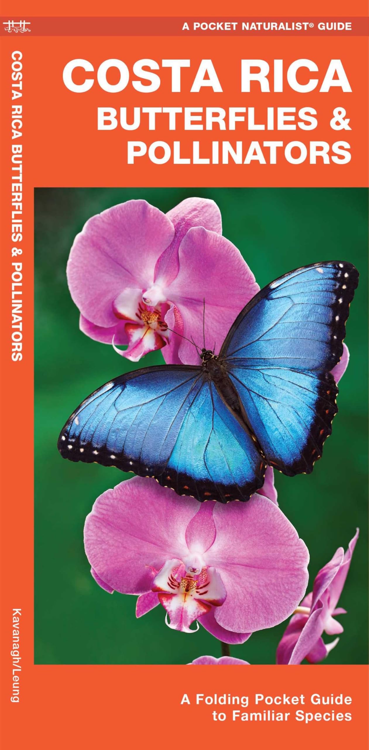 Costa Rica Butterflies & Pollinators: A Folding Pocket Guide to Familiar Species (Nature Observation International) Mathematics