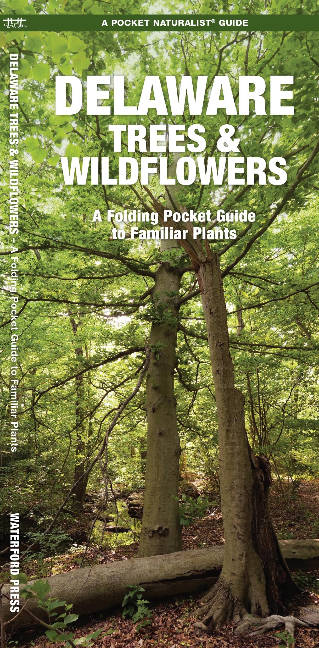 Delaware Trees & Wildflowers: A Folding Pocket Guide to Familiar Species (Nature Observation North America) Mathematics