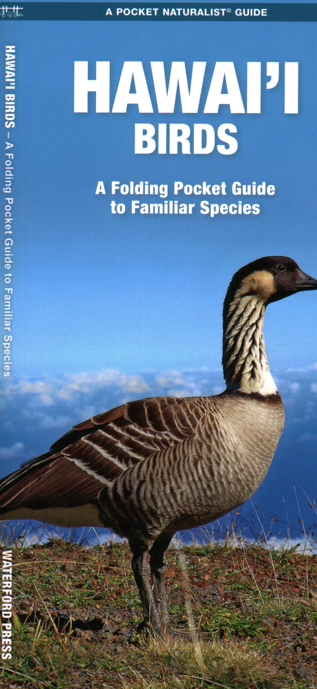 Hawai'i Birds, 2nd Ed: A Folding Pocket Guide to Familiar Species (Nature Observation North America) Mathematics