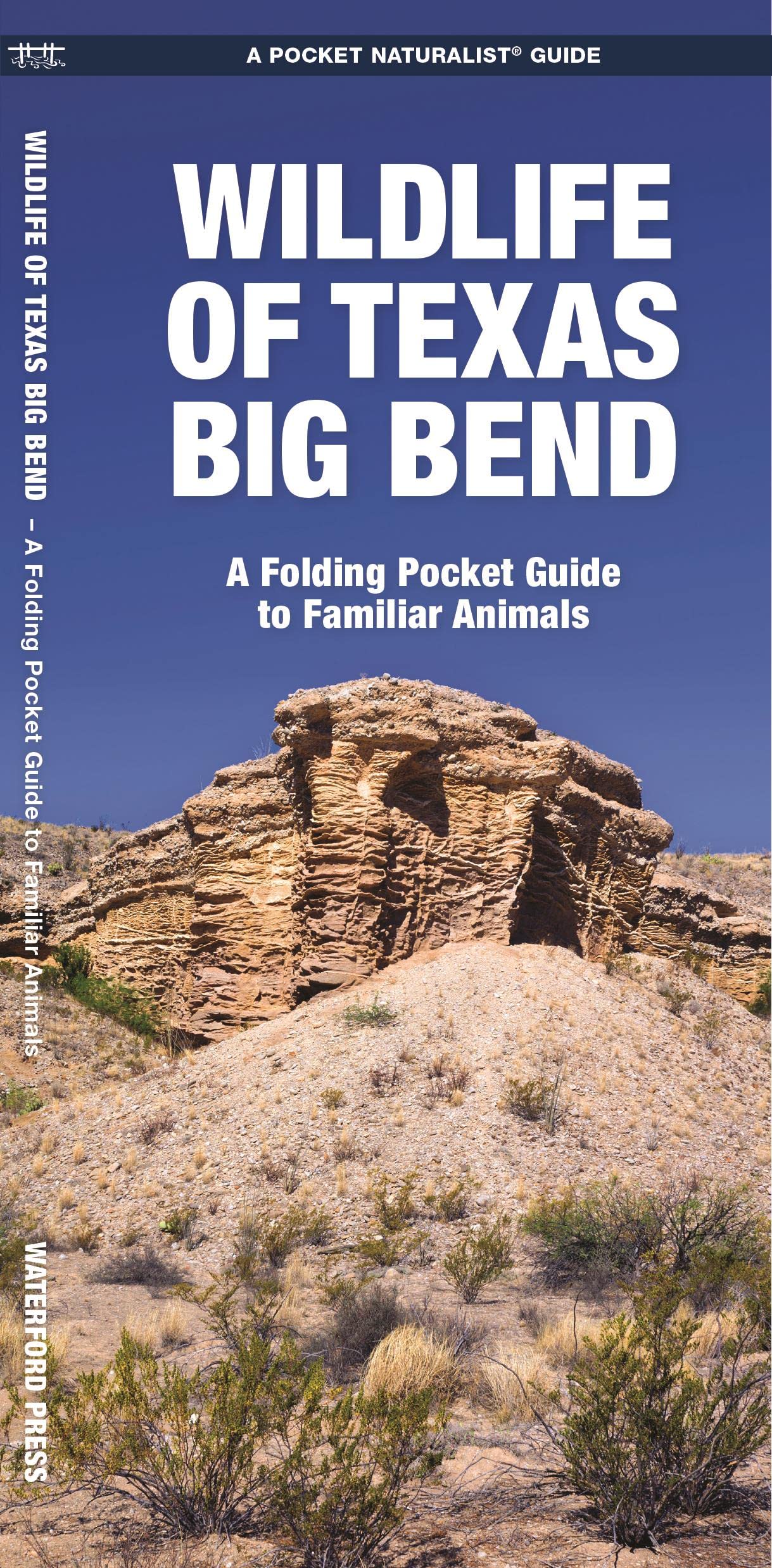 Wildlife of Texas Big Bend: A Folding Pocket Guide to Familiar Animals book