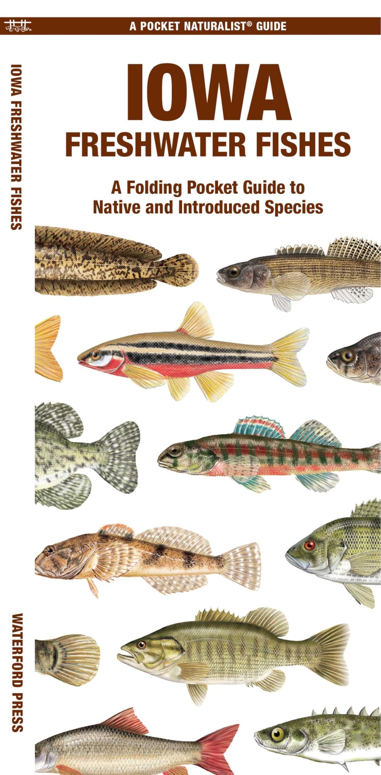 Iowa Freshwater Fishes Mathematics