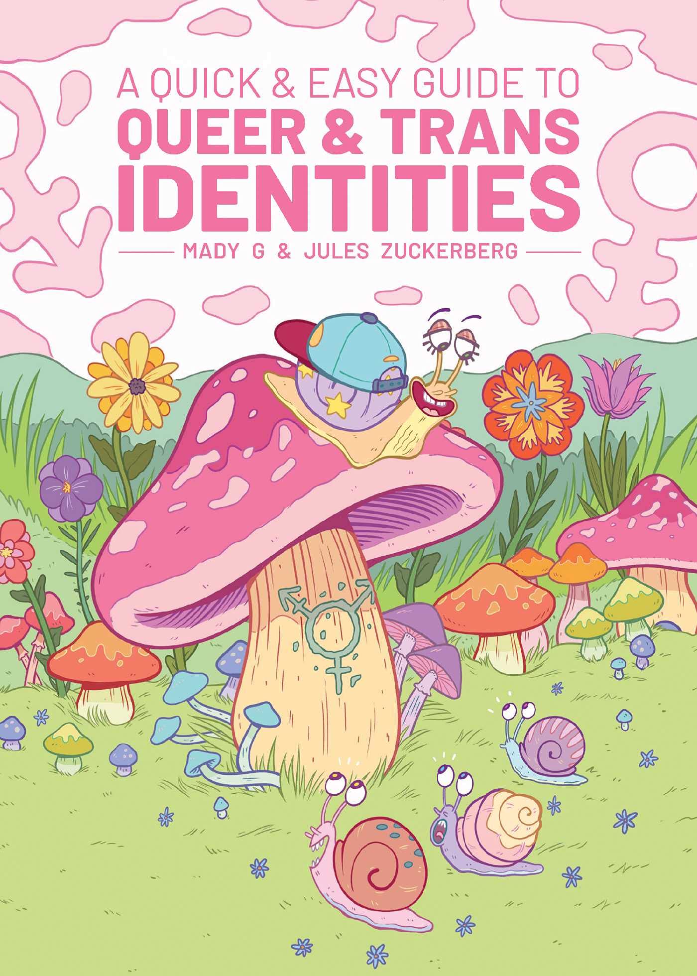 Product Image: A Quick & Easy Guide to Queer & Trans Identities