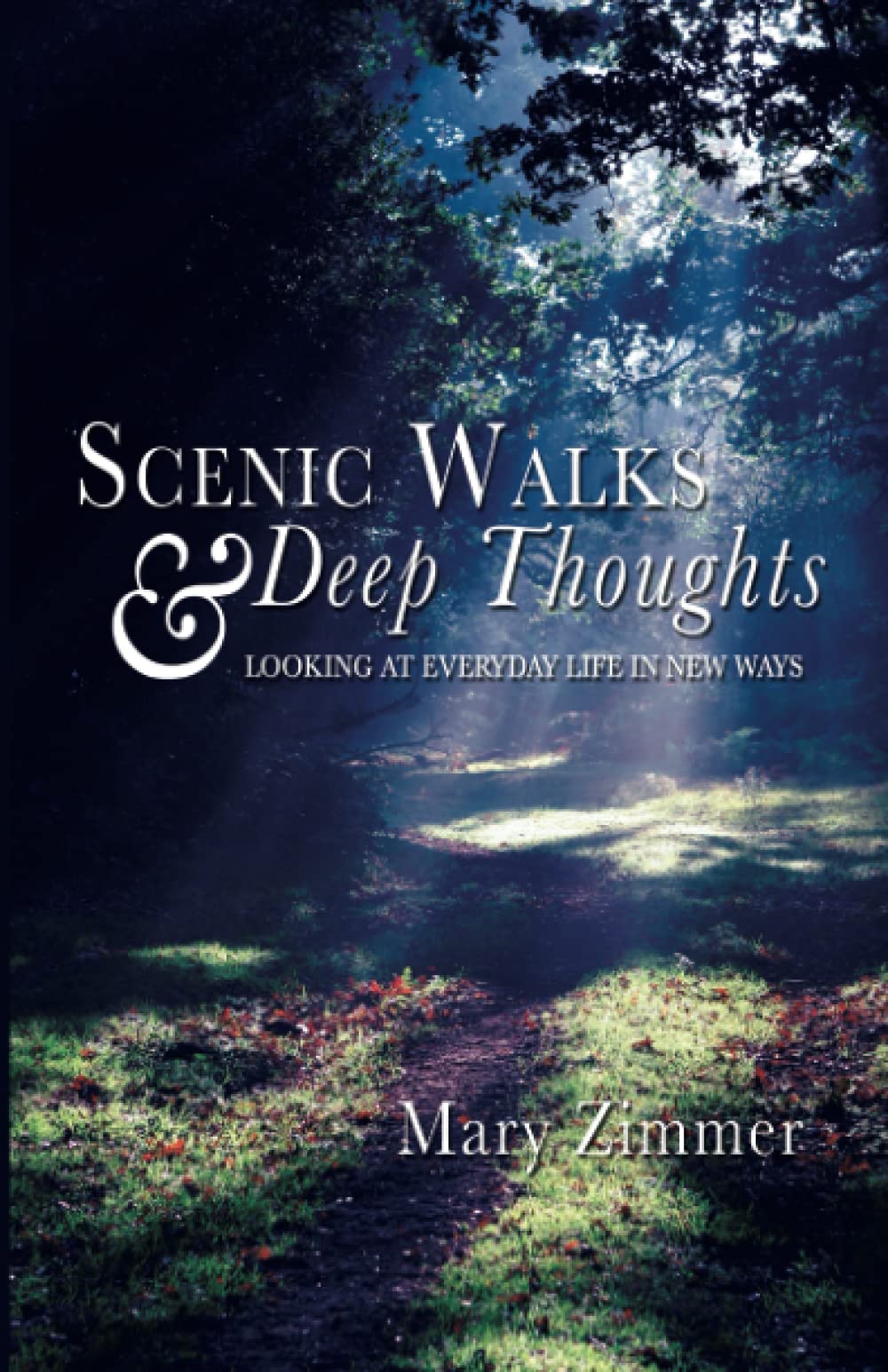 Scenic Walks and Deep Thoughts: Looking at Everyday Life in New Ways Social Sciences