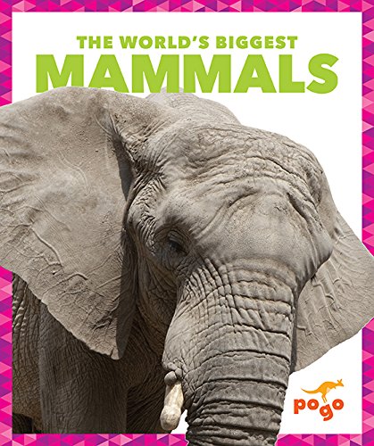 The World's Biggest Mammals (The World's Biggest Animals) Non-fiction