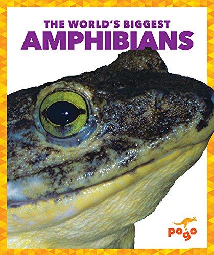 The World's Biggest Amphibians (World's Biggest Animals) Non-fiction