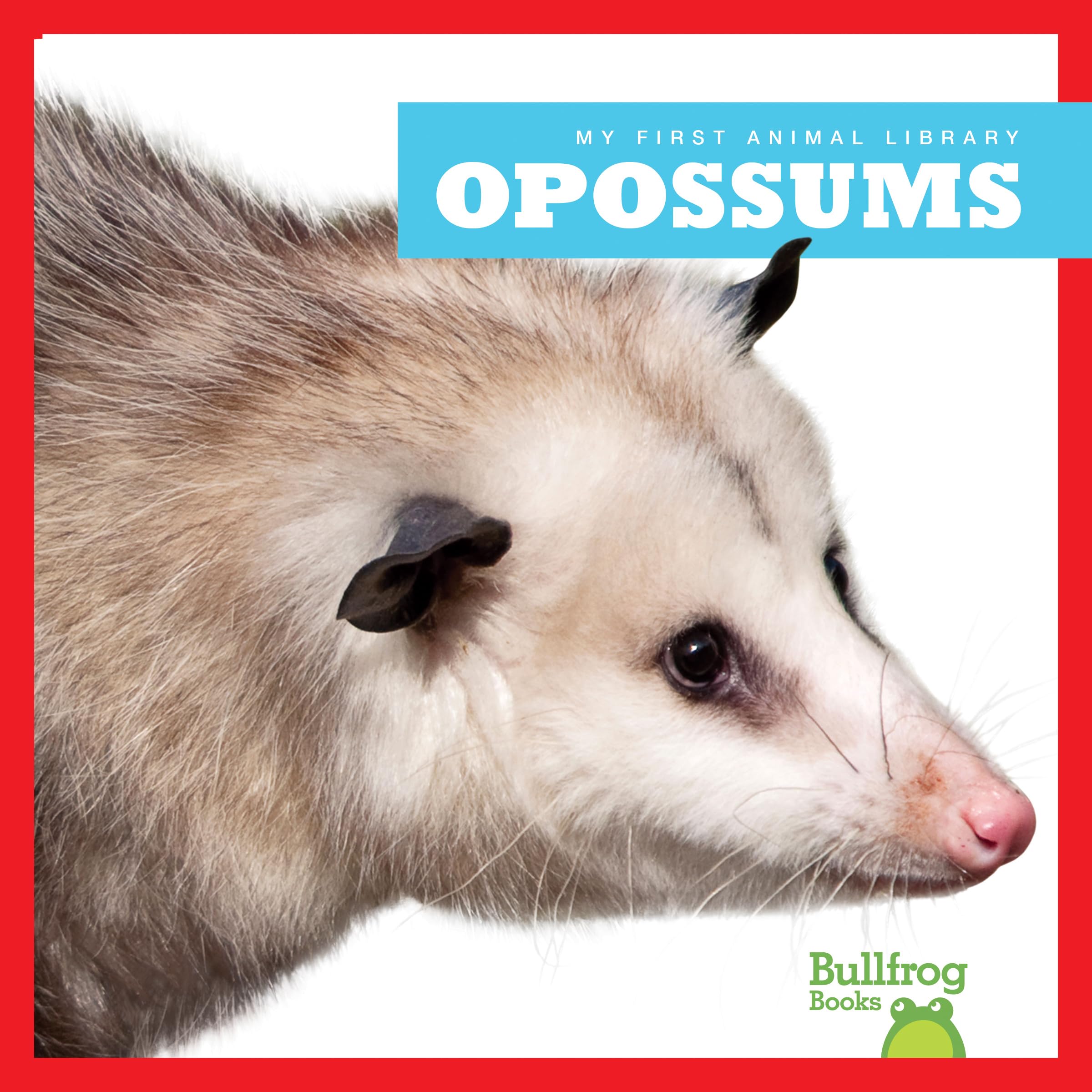 Opossums Non-fiction