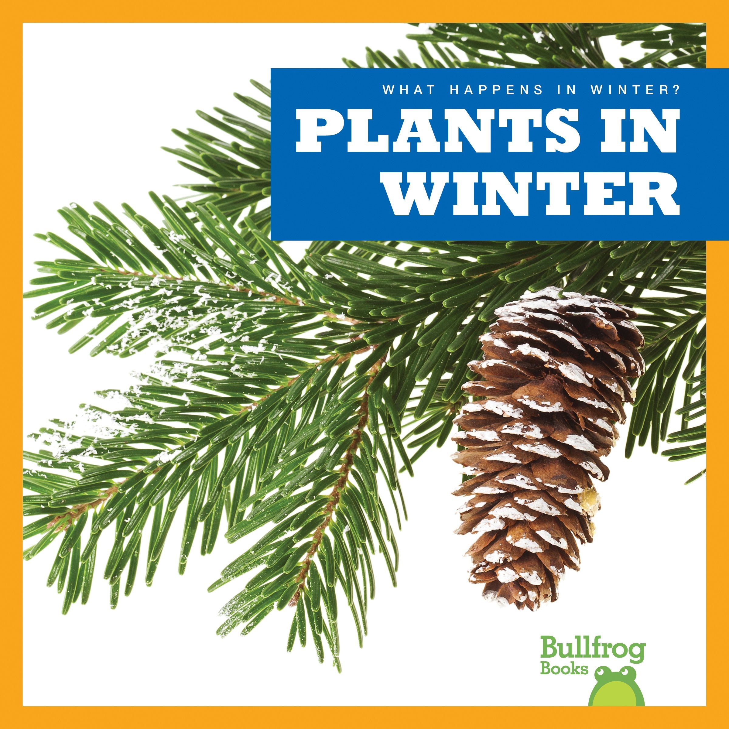 Plants in Winter (What Happens in Winter?) Non-fiction