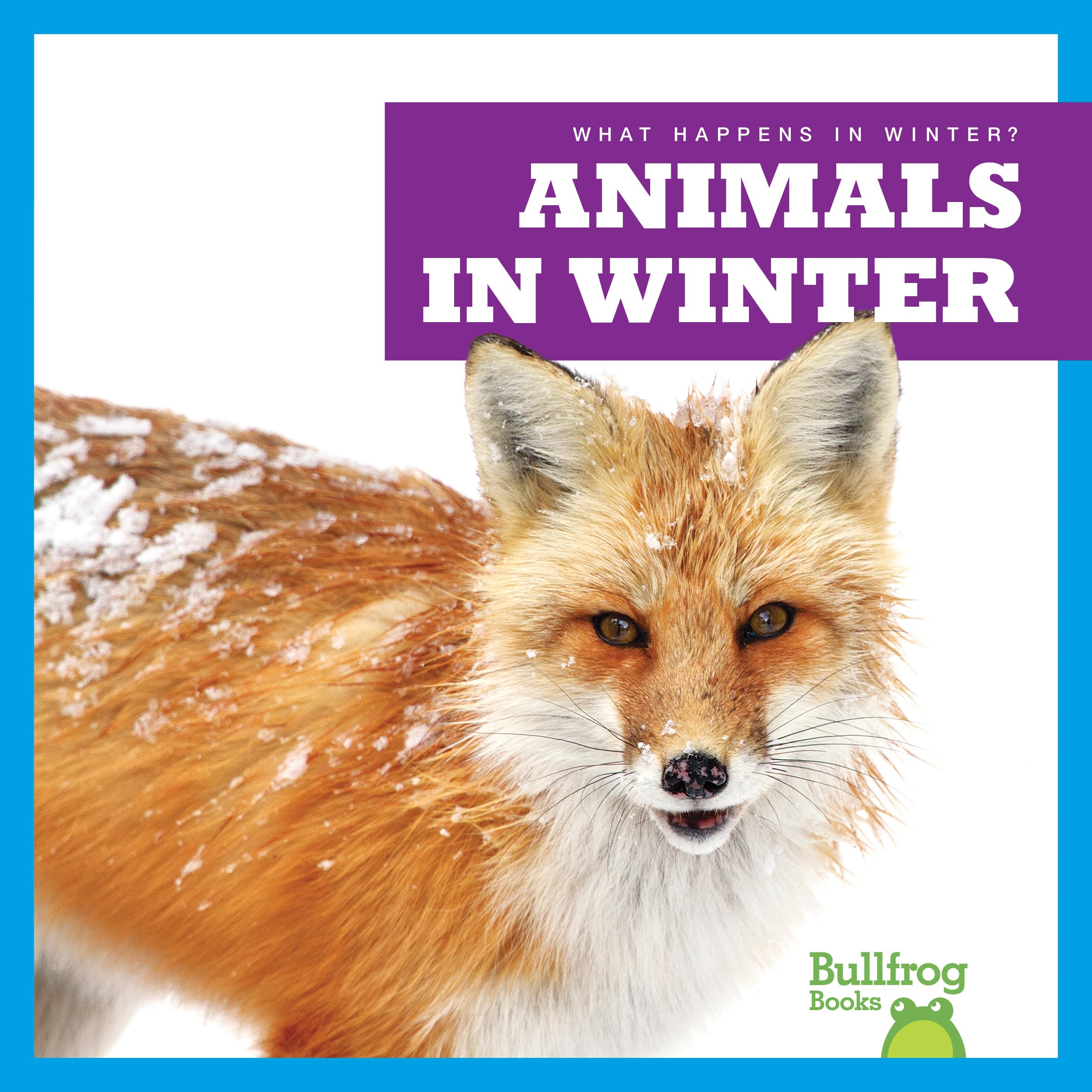 Animals in Winter (What Happens in Winter?) Non-fiction