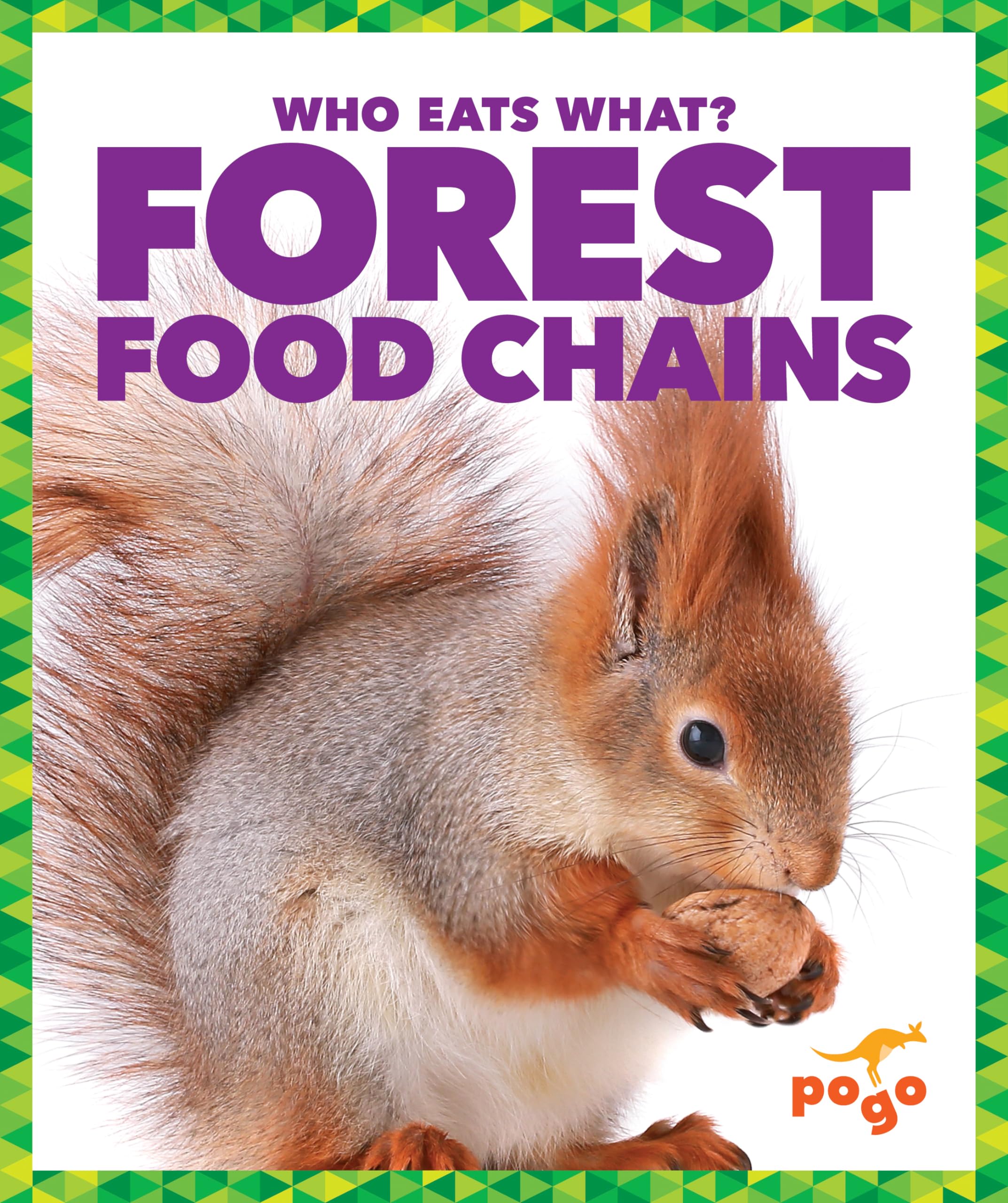 Product Image: Forest Food Chains