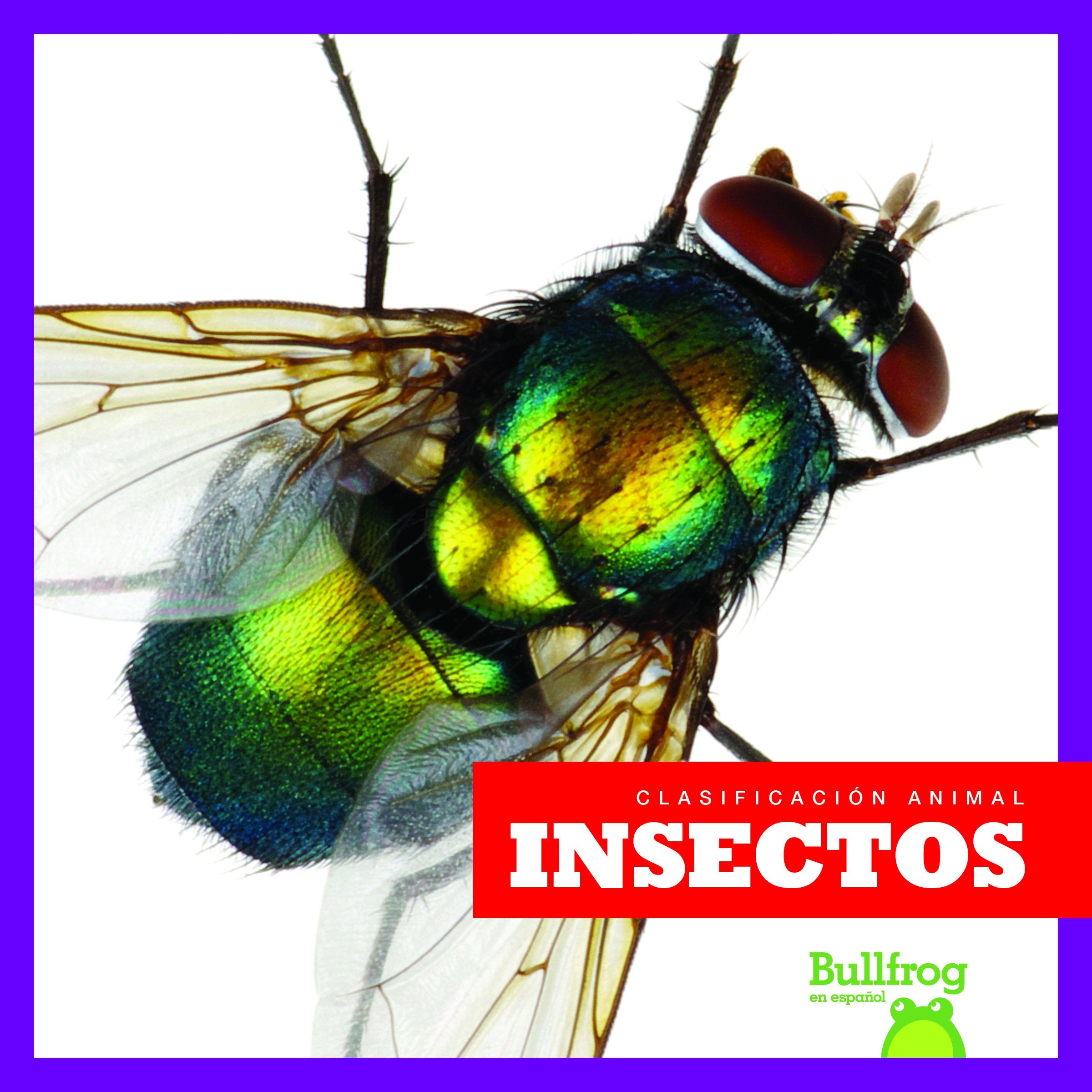 Insectos / Insects (Clasificación Animal/ Animal Classification) Novels & Short Stories