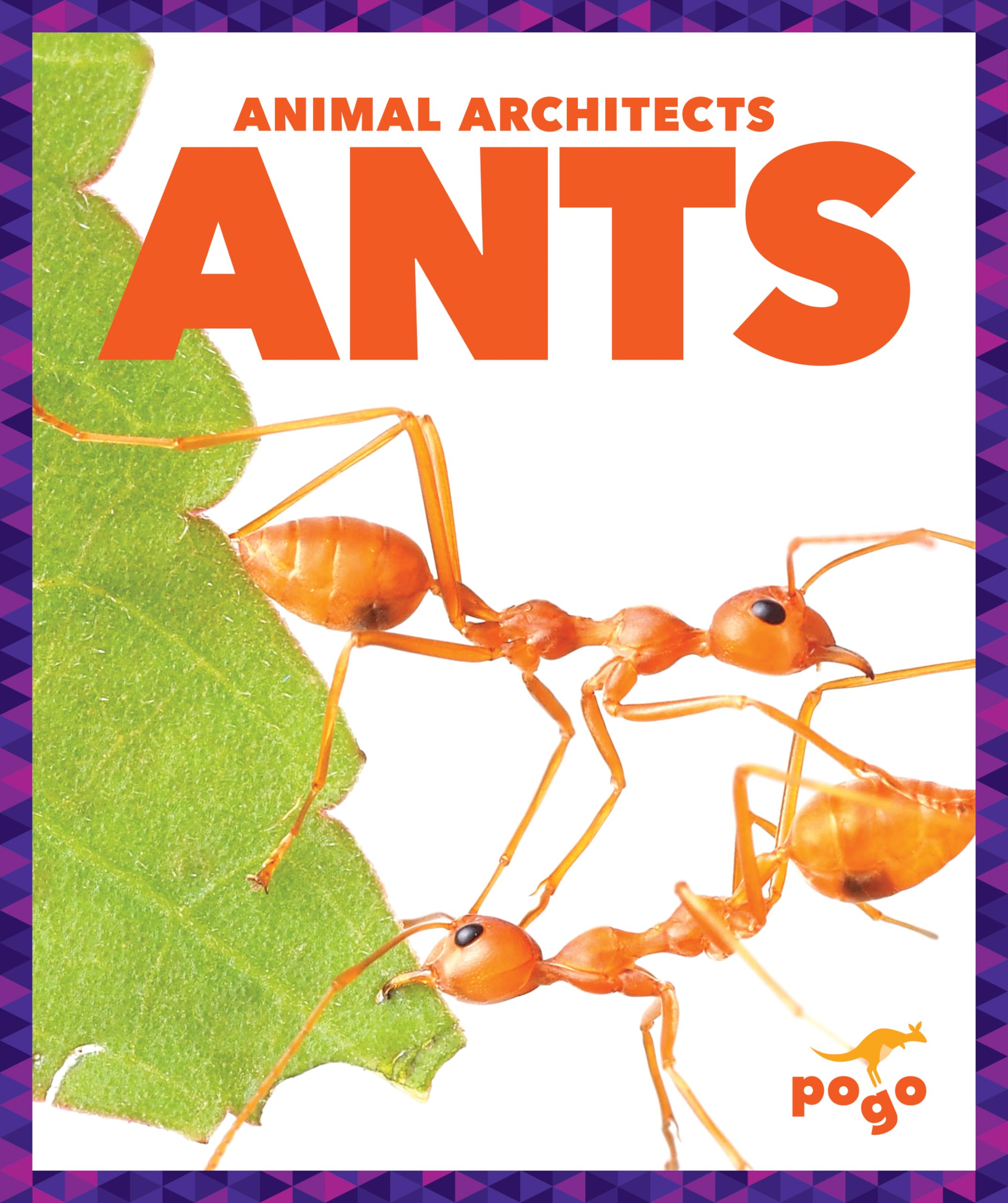 Ants (Animal Architects) Non-fiction