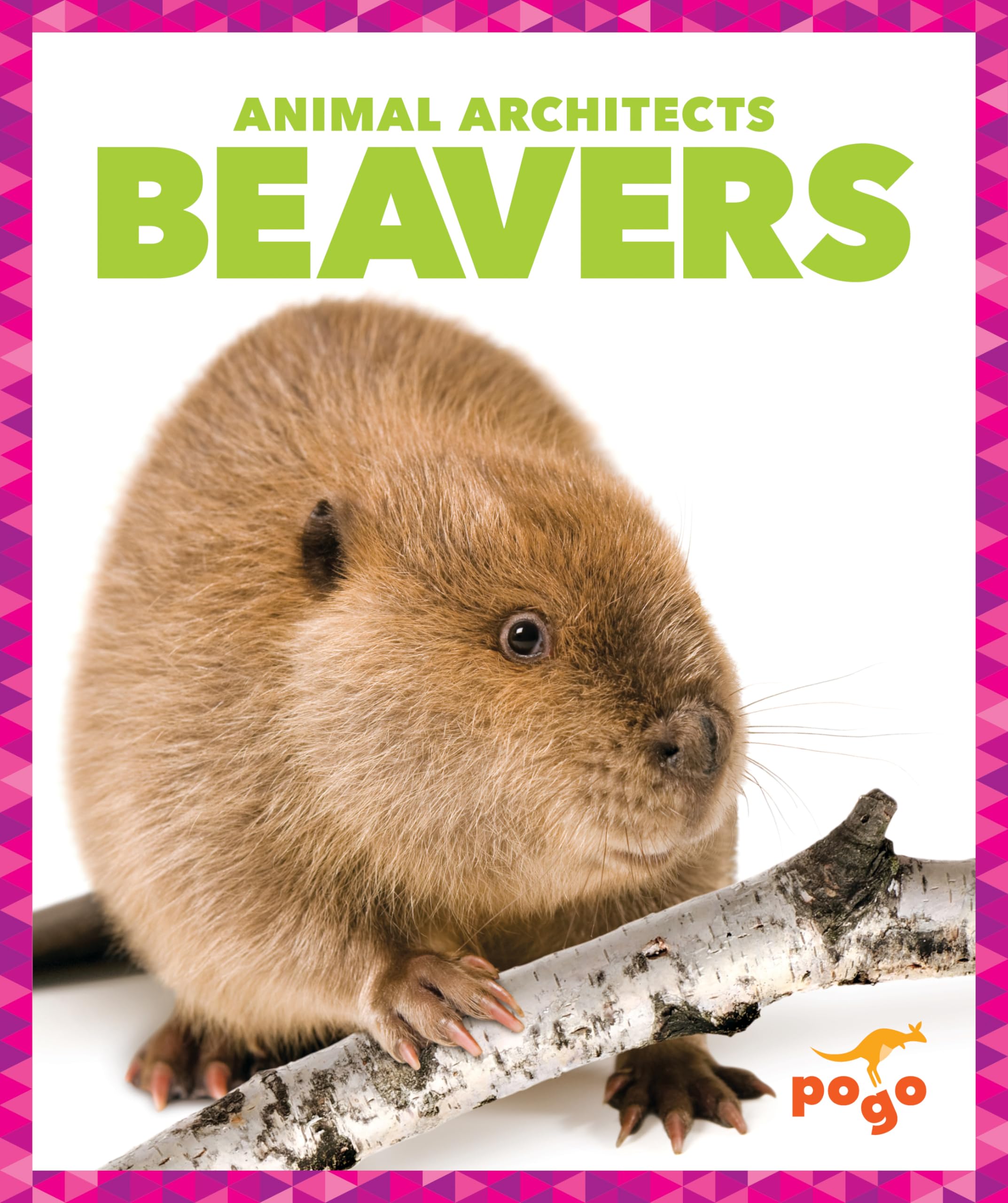 Beavers (Animal Architects) Non-fiction