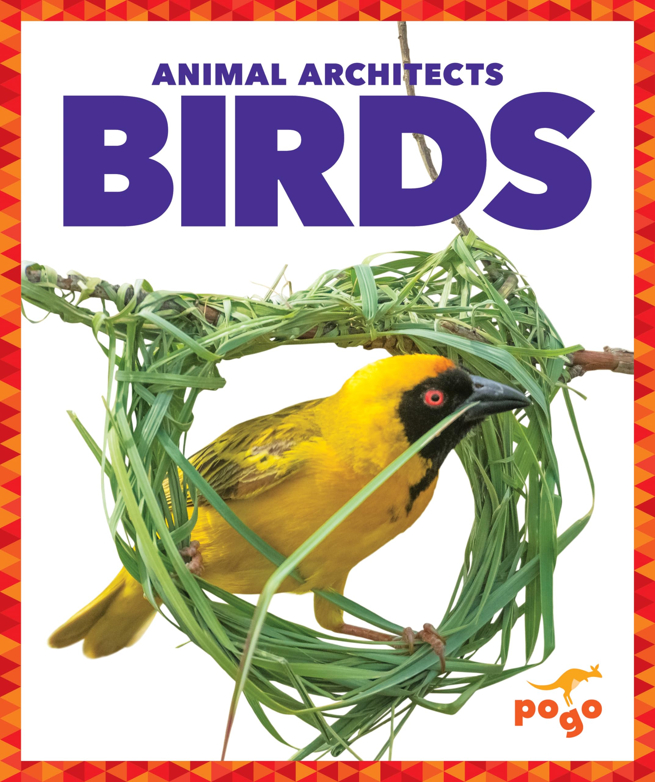 Birds (Animal Architects) Non-fiction