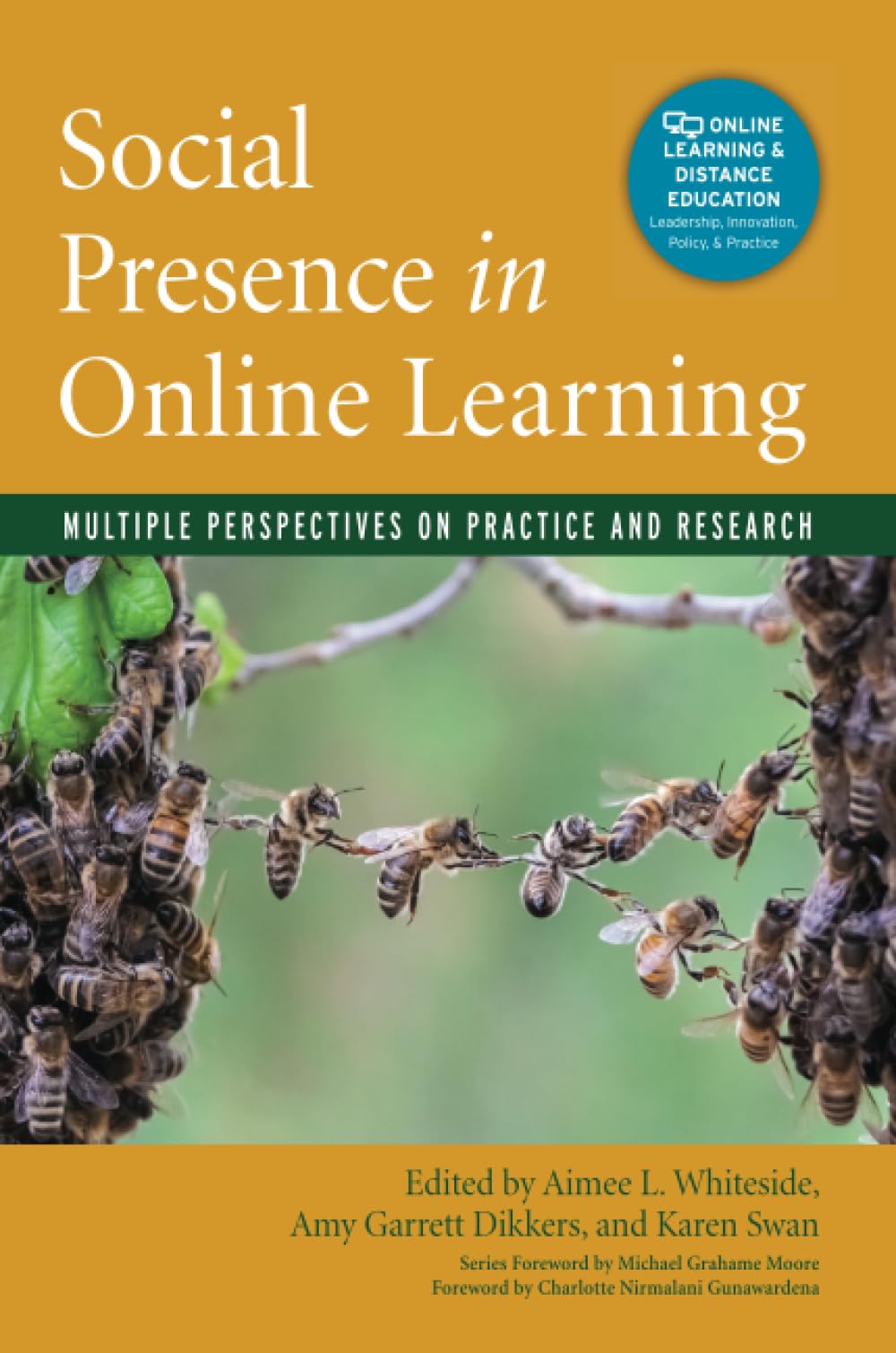 Social Presence in Online Learning Computer Science