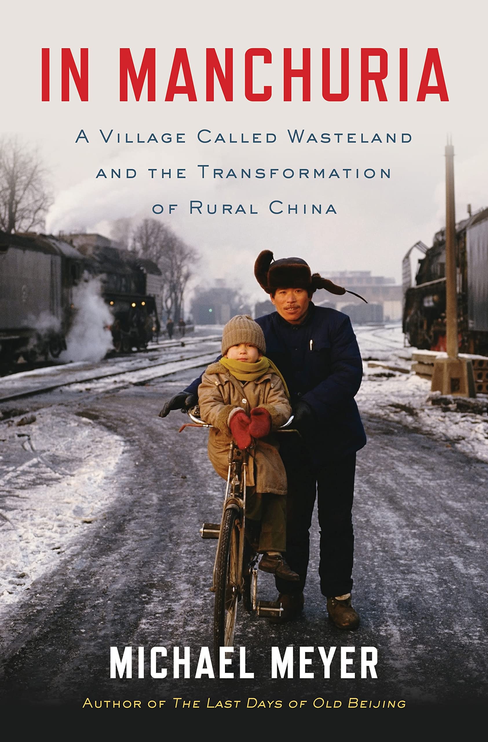 In Manchuria: A Village Called Wasteland and the Transformation of Rural China Social Sciences