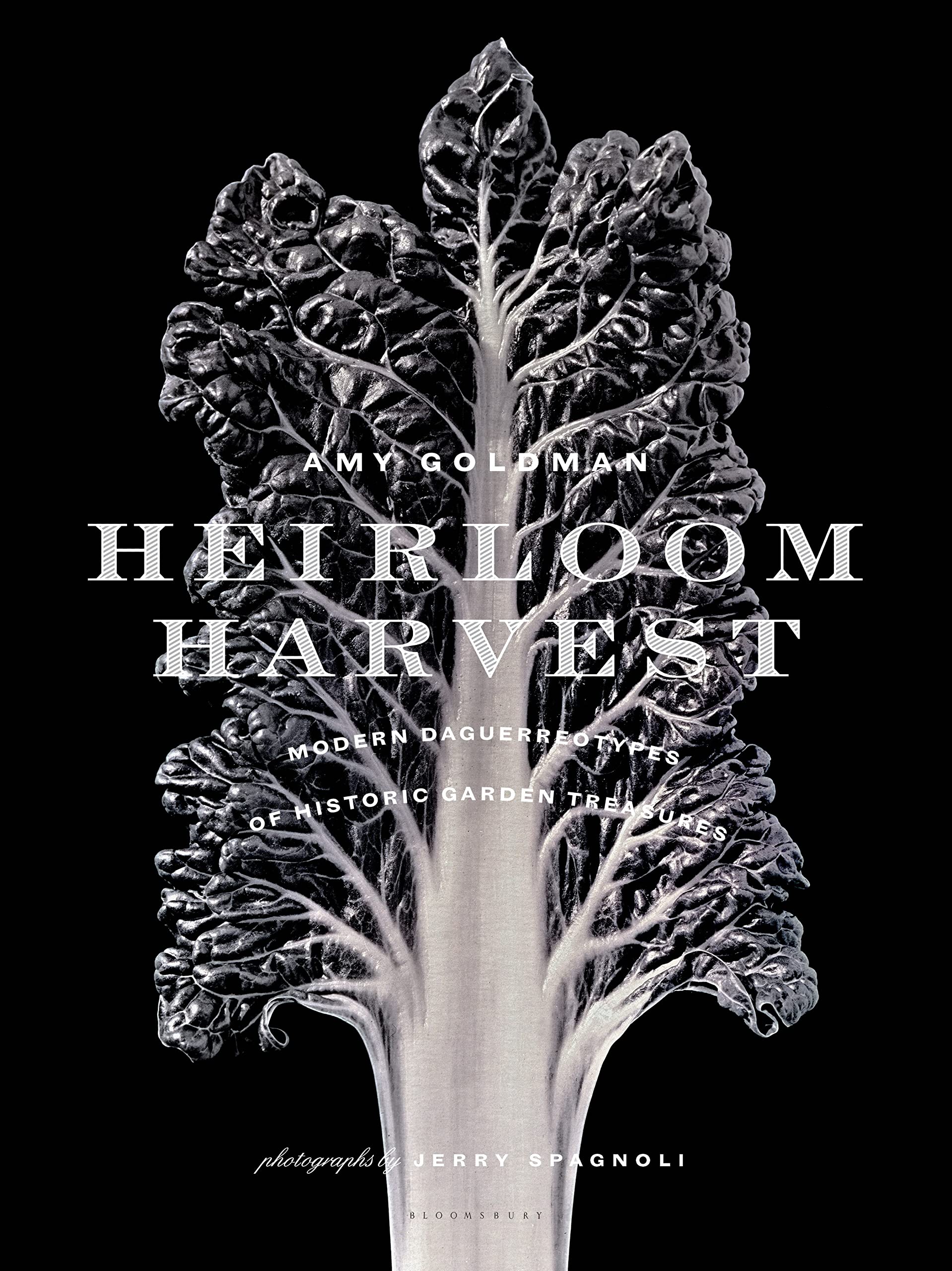 Heirloom Harvest: Modern Daguerreotypes of Historic Garden Treasures book