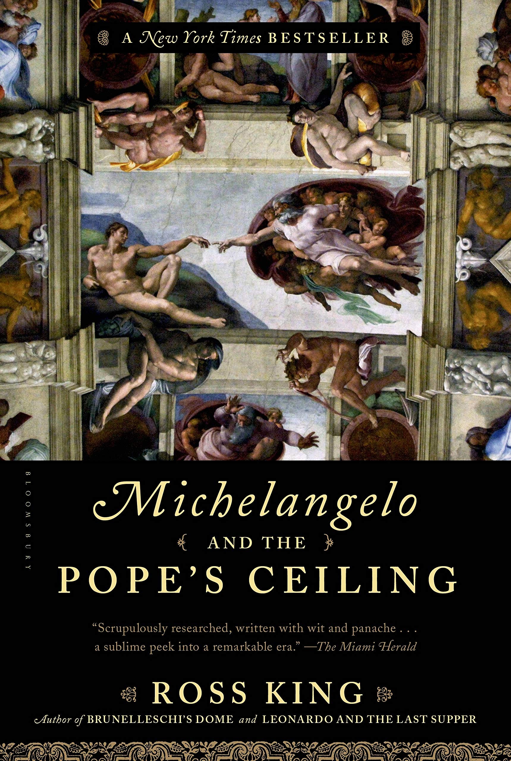 Michelangelo and the Pope's Ceiling Social Sciences Books