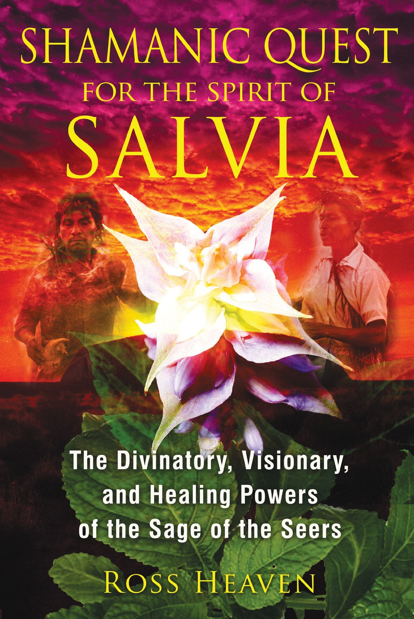 Shamanic Quest for the Spirit of Salvia book