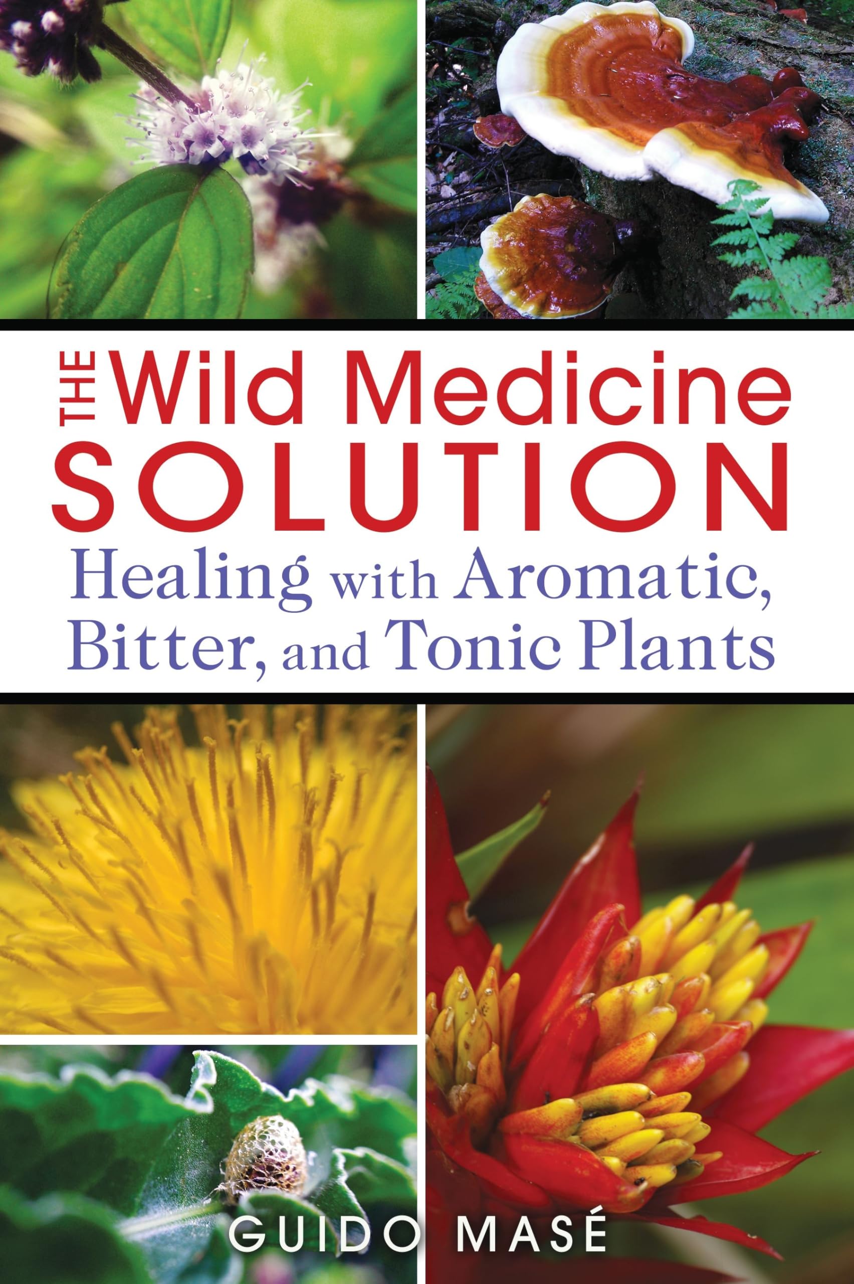 The Wild Medicine Solution: Healing with Aromatic, Bitter, and Tonic Plants book